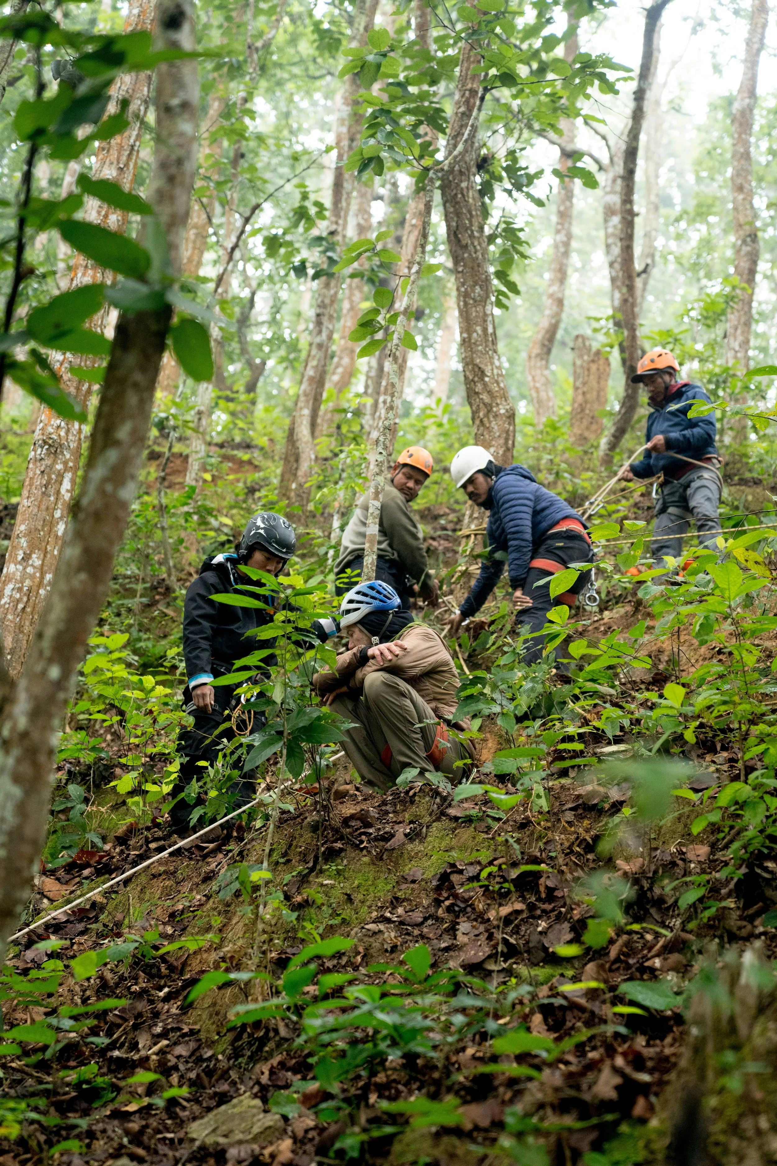 forest conservation local community