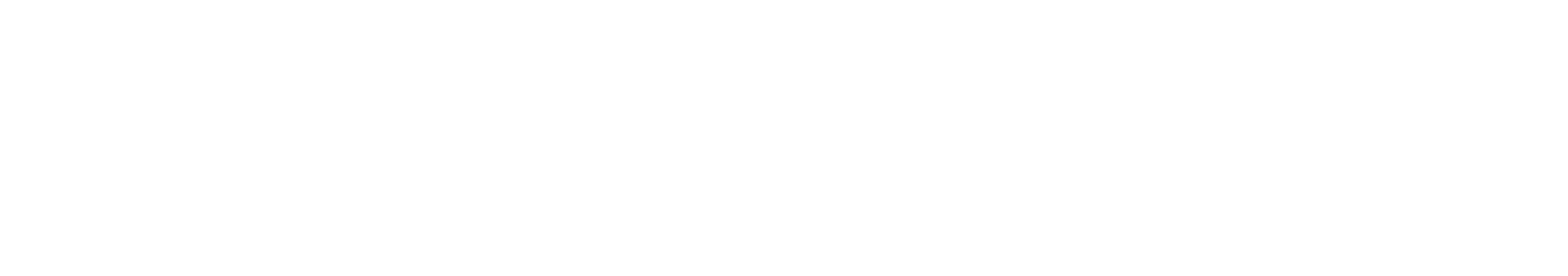 White holiday-themed logo with the word "Impression" and a snowflake in a bowl design