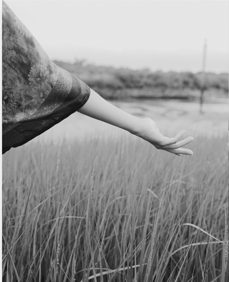 Mains tendues dans les herbes, photo noir et blanc, geste corporel