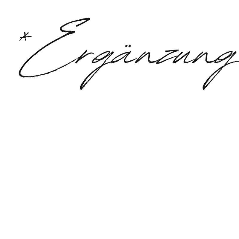 Schriftzug mit dem Wort 'Ergänzung' in eleganter, handgeschriebener Schrift.