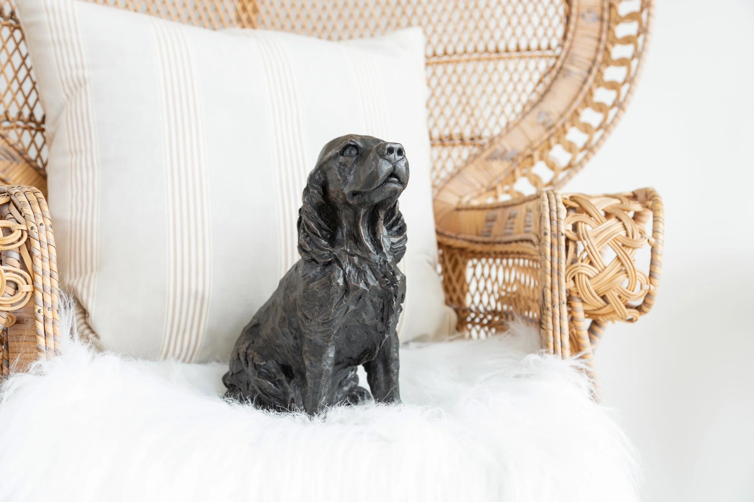 Cocker-Spaniel-11.jpg