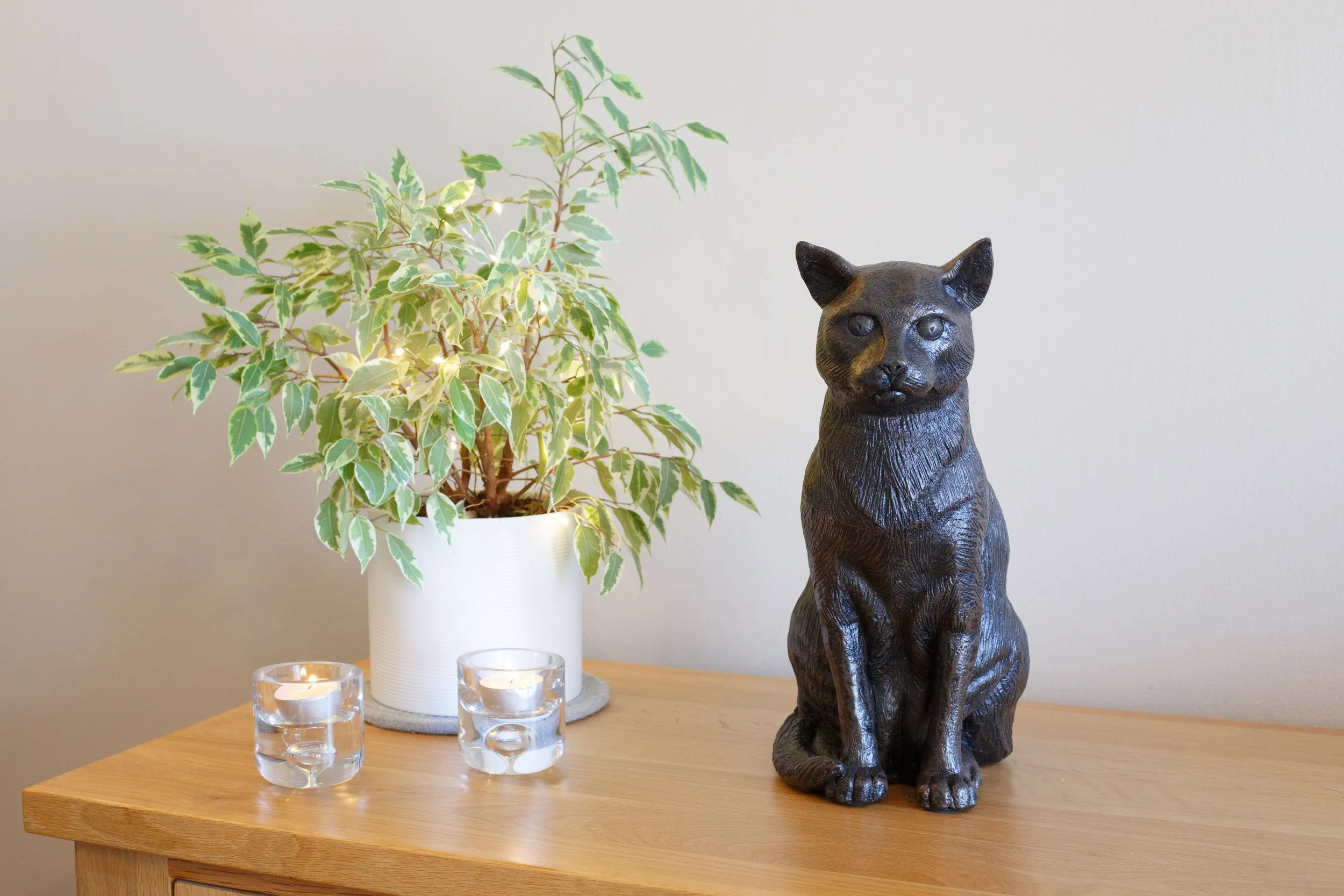 Sitting-Cat-08.jpg