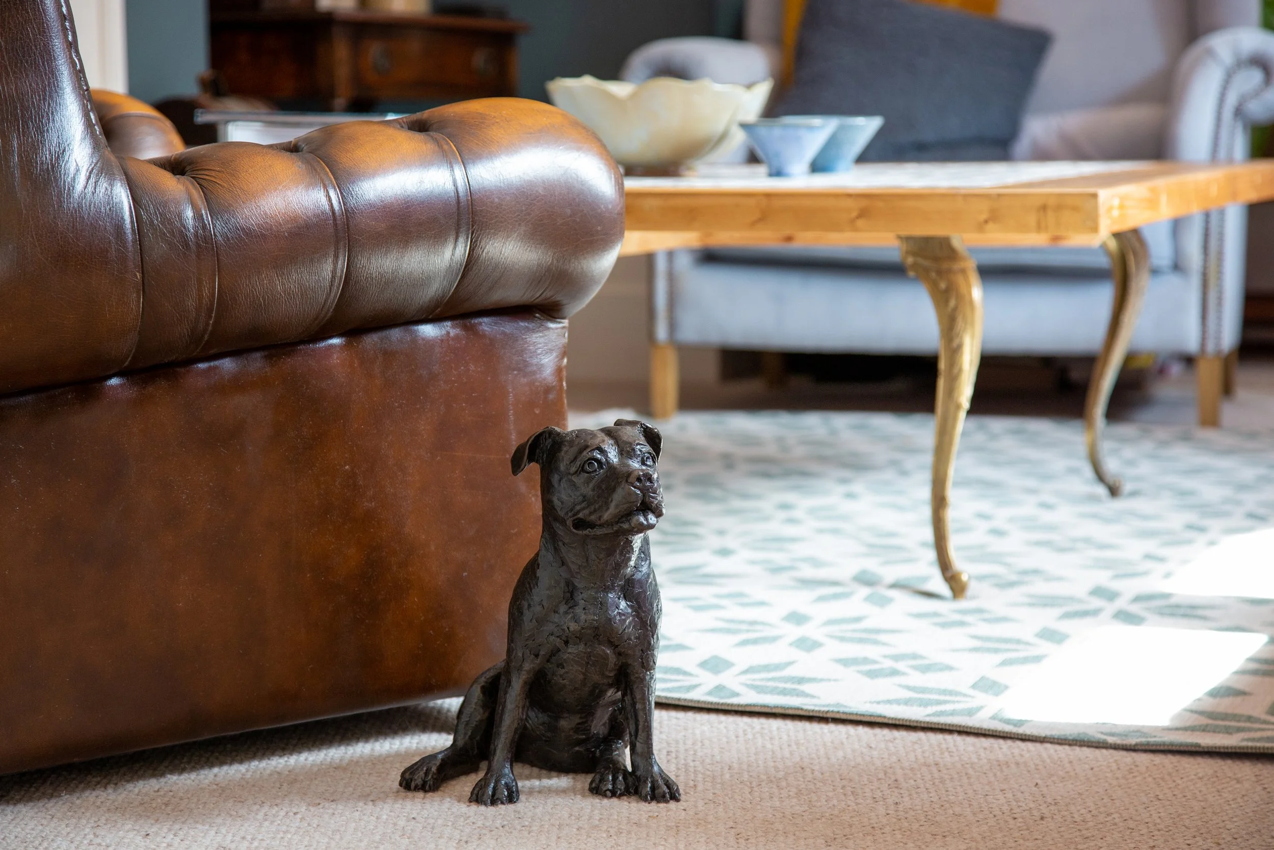 Staffordshire-Bull-Terrier-02.jpg