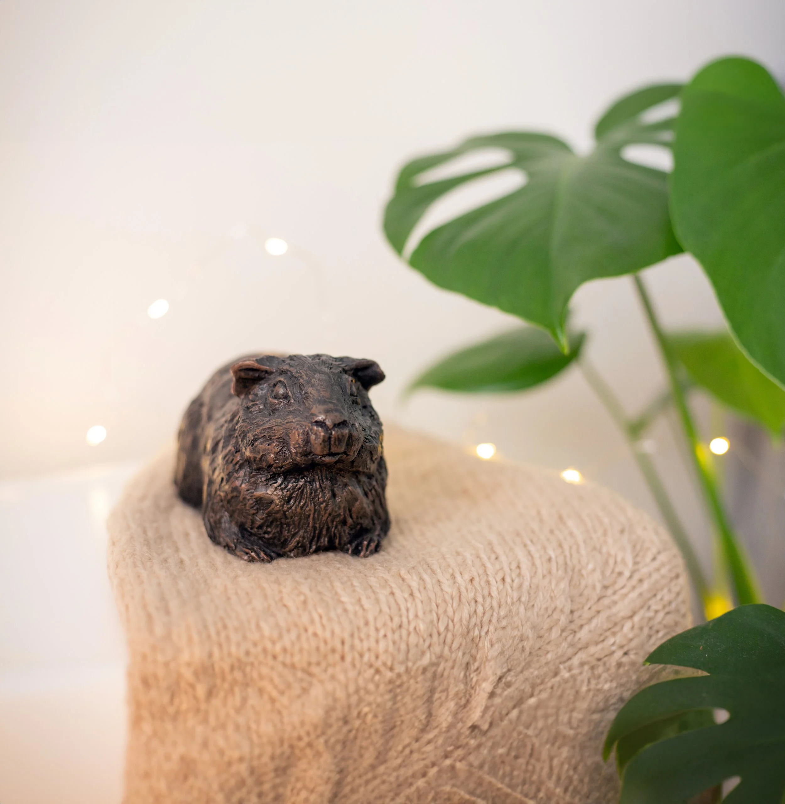Guinea-Pig-02-Edit.jpg
