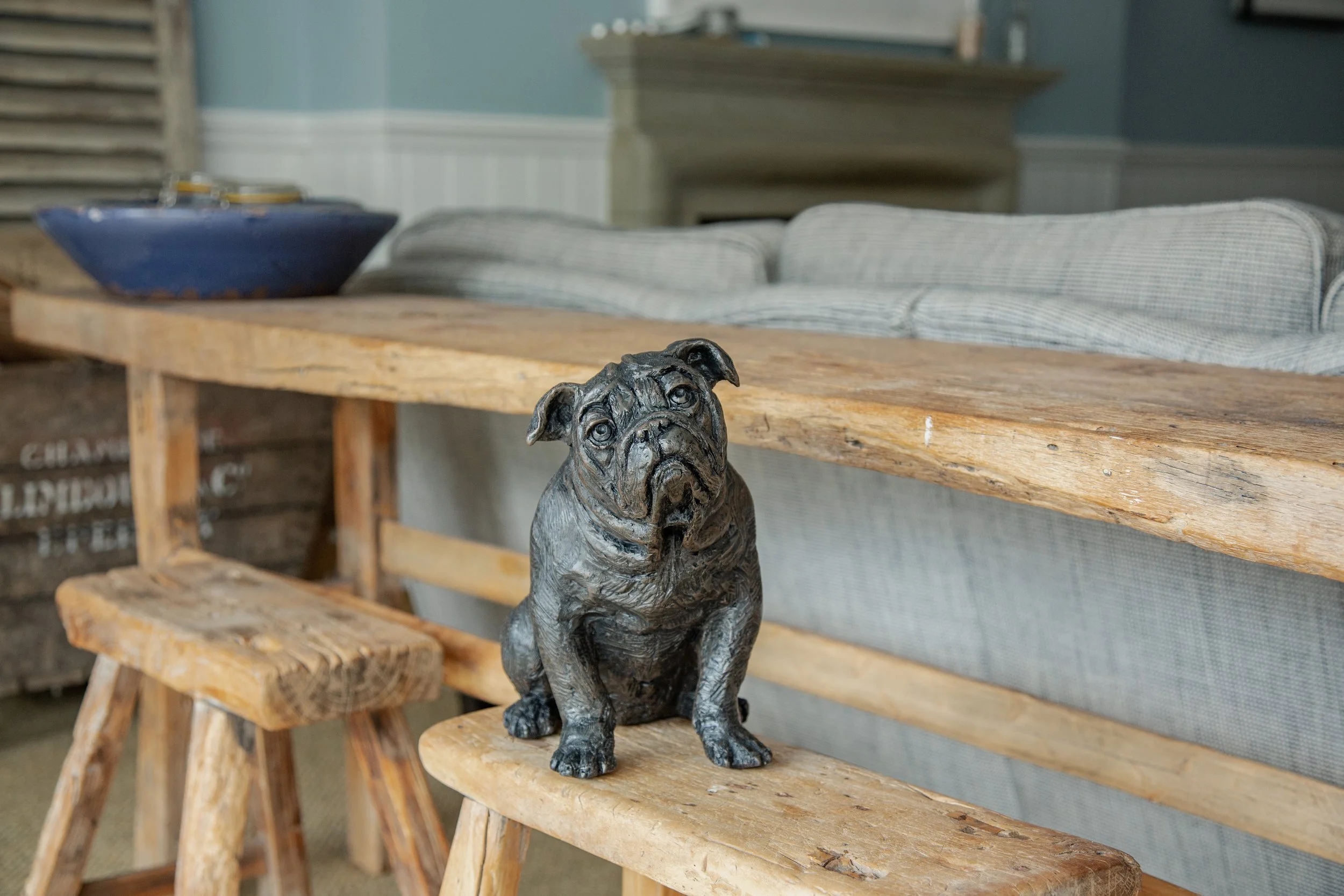 Bulldog-02.jpg