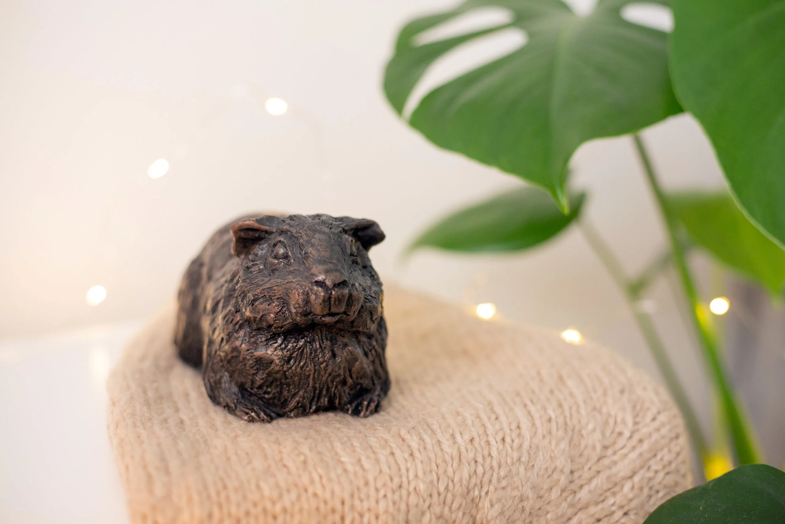 Guinea-Pig-02.jpg