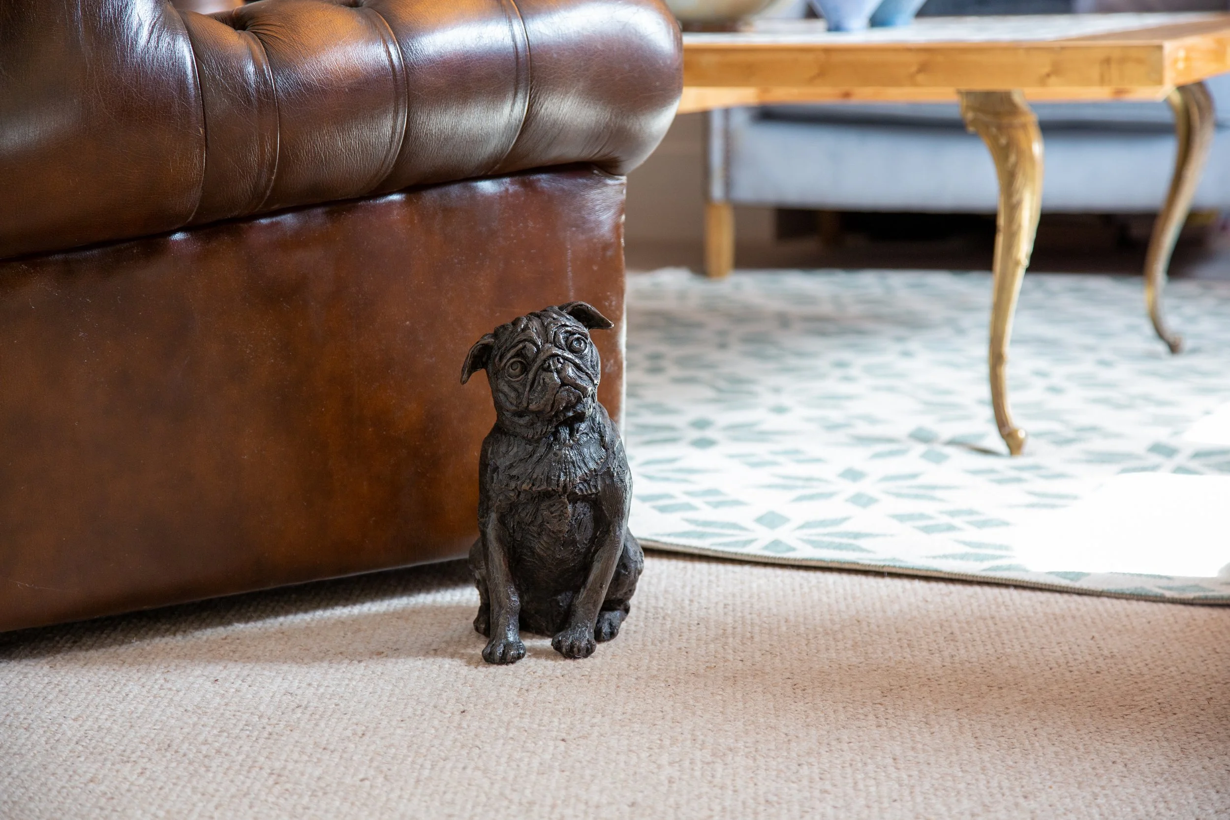 Pug-01.jpg
