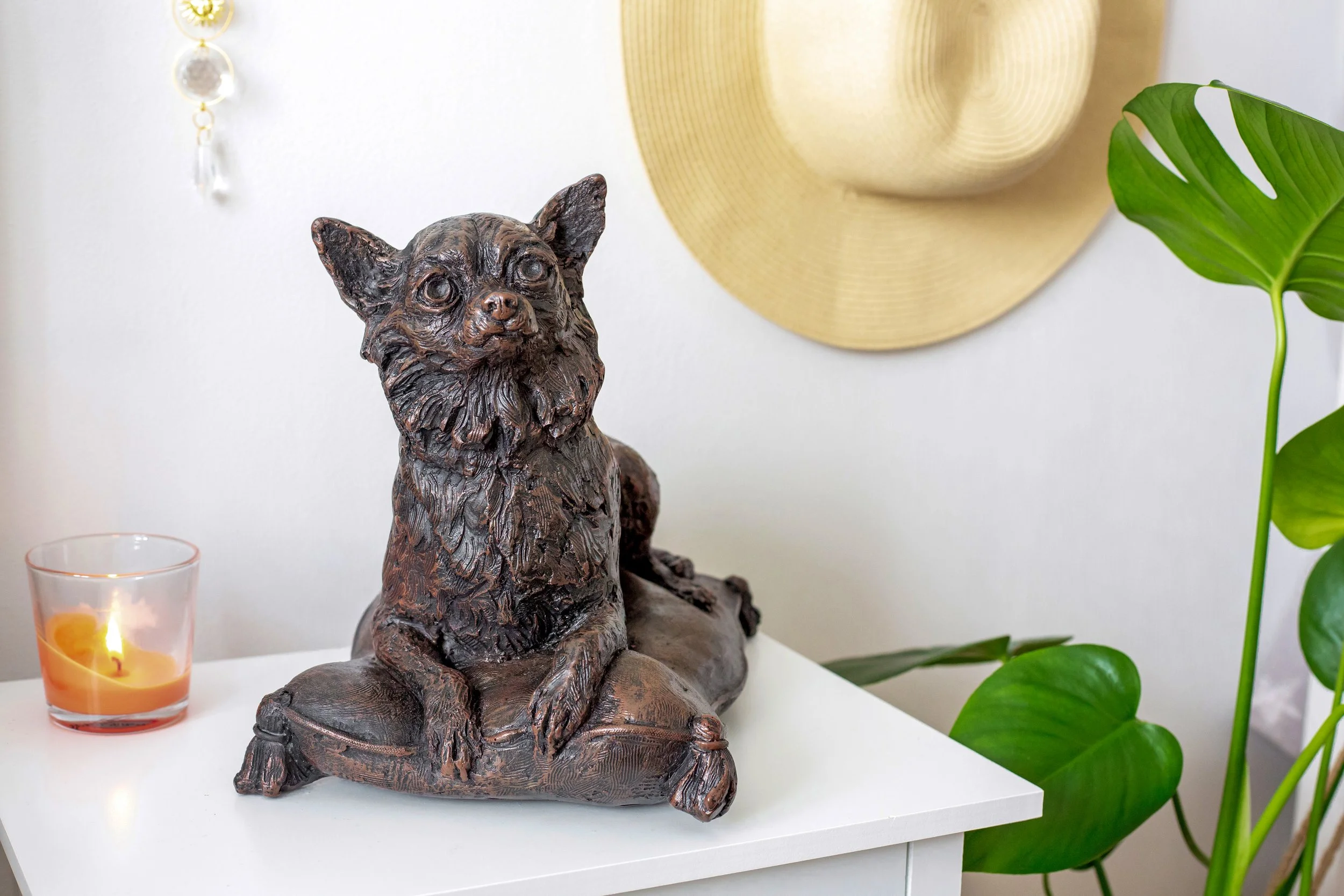 Chihuahua-07.jpg