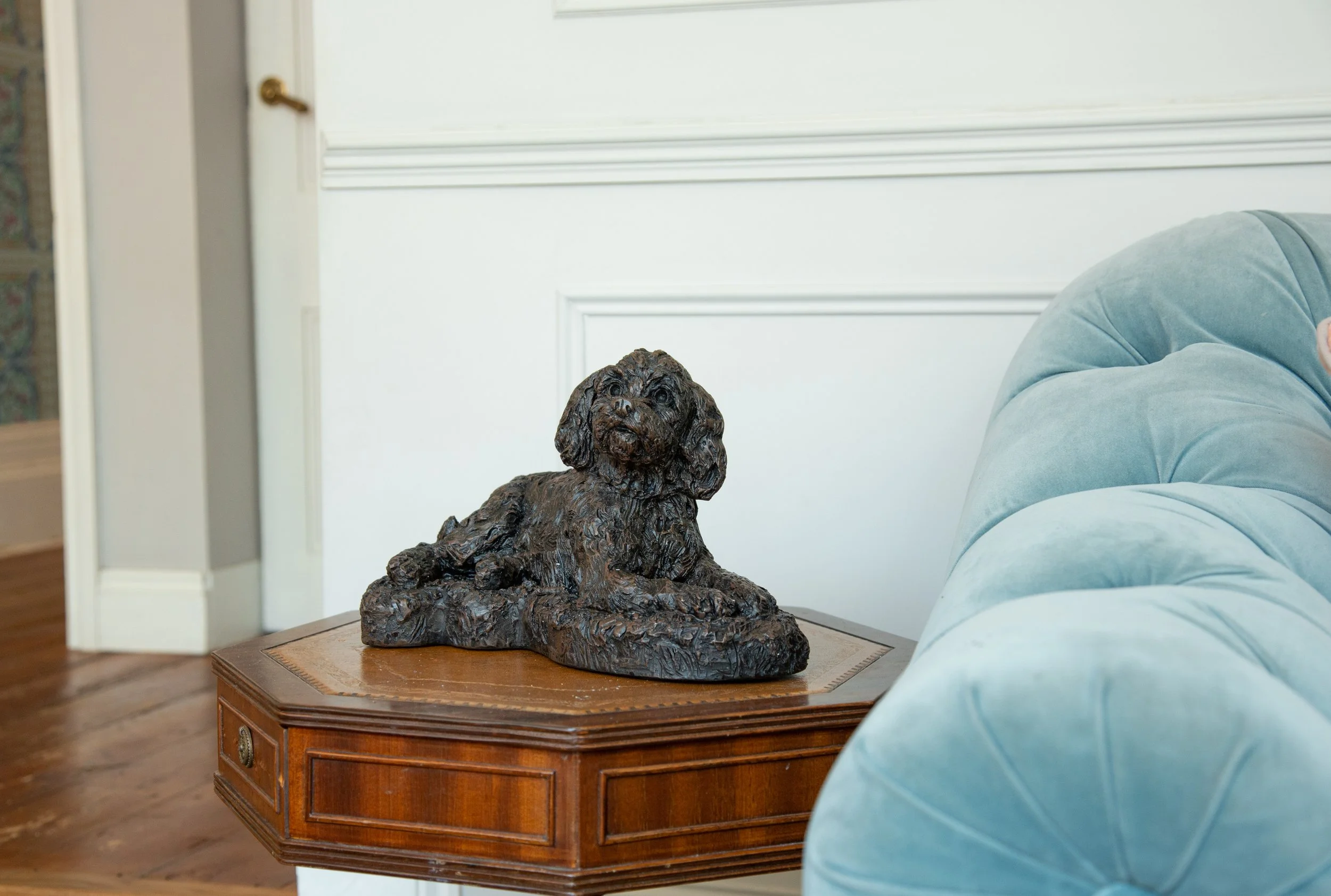 Cockapoo-08.jpg