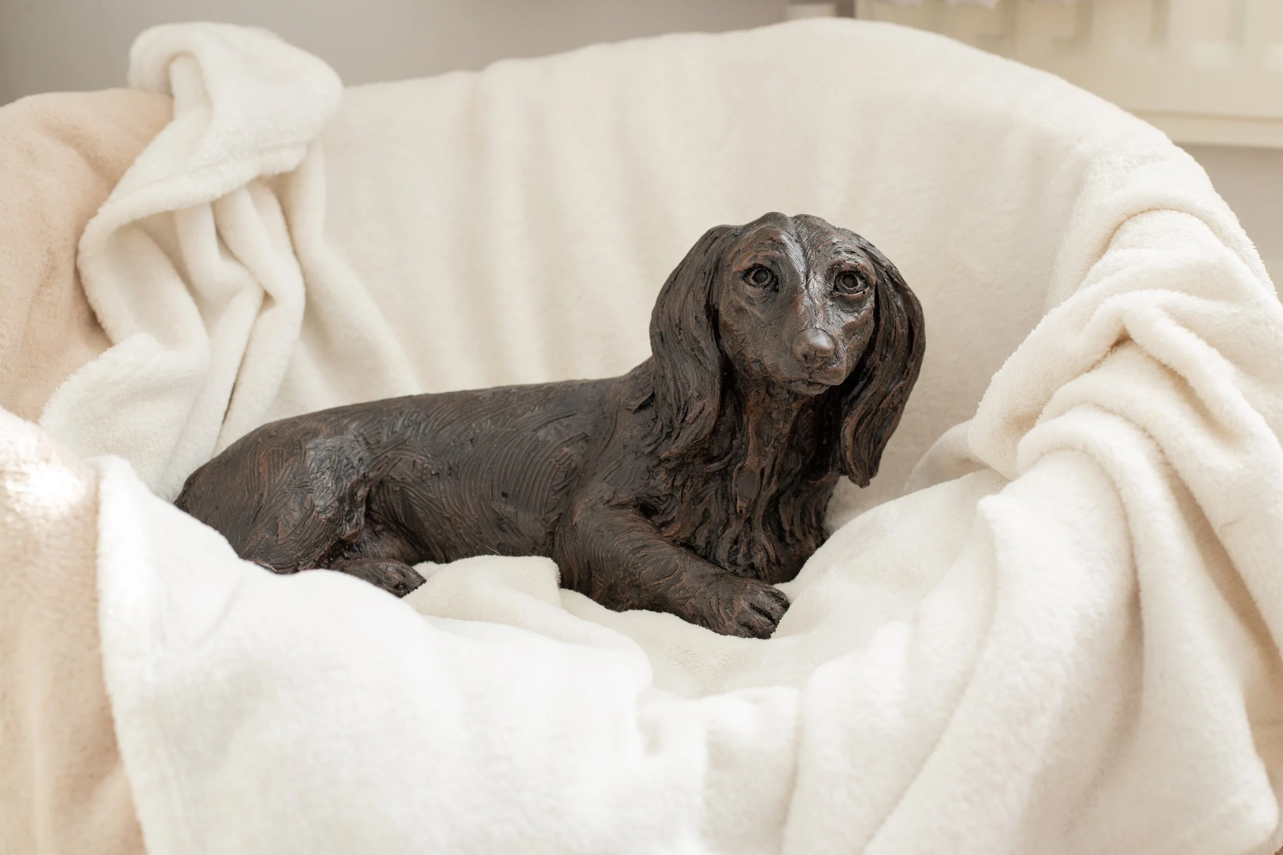 Dachushund-Long-Haired-06.jpg