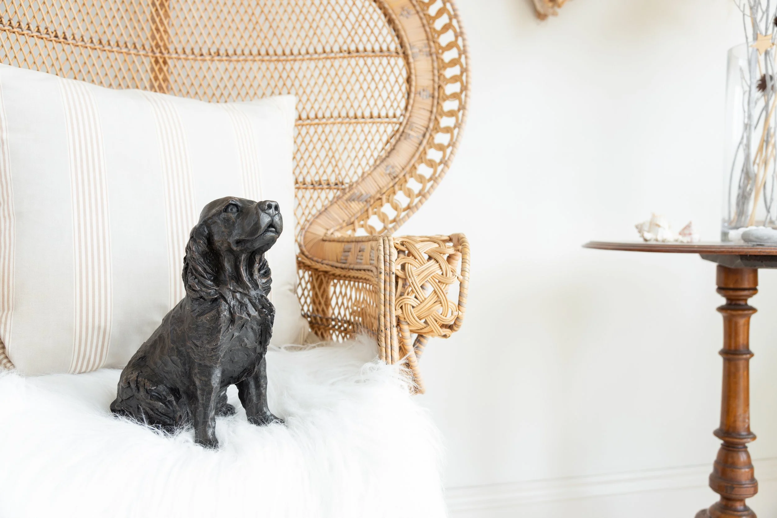 Cocker-Spaniel-10.jpg