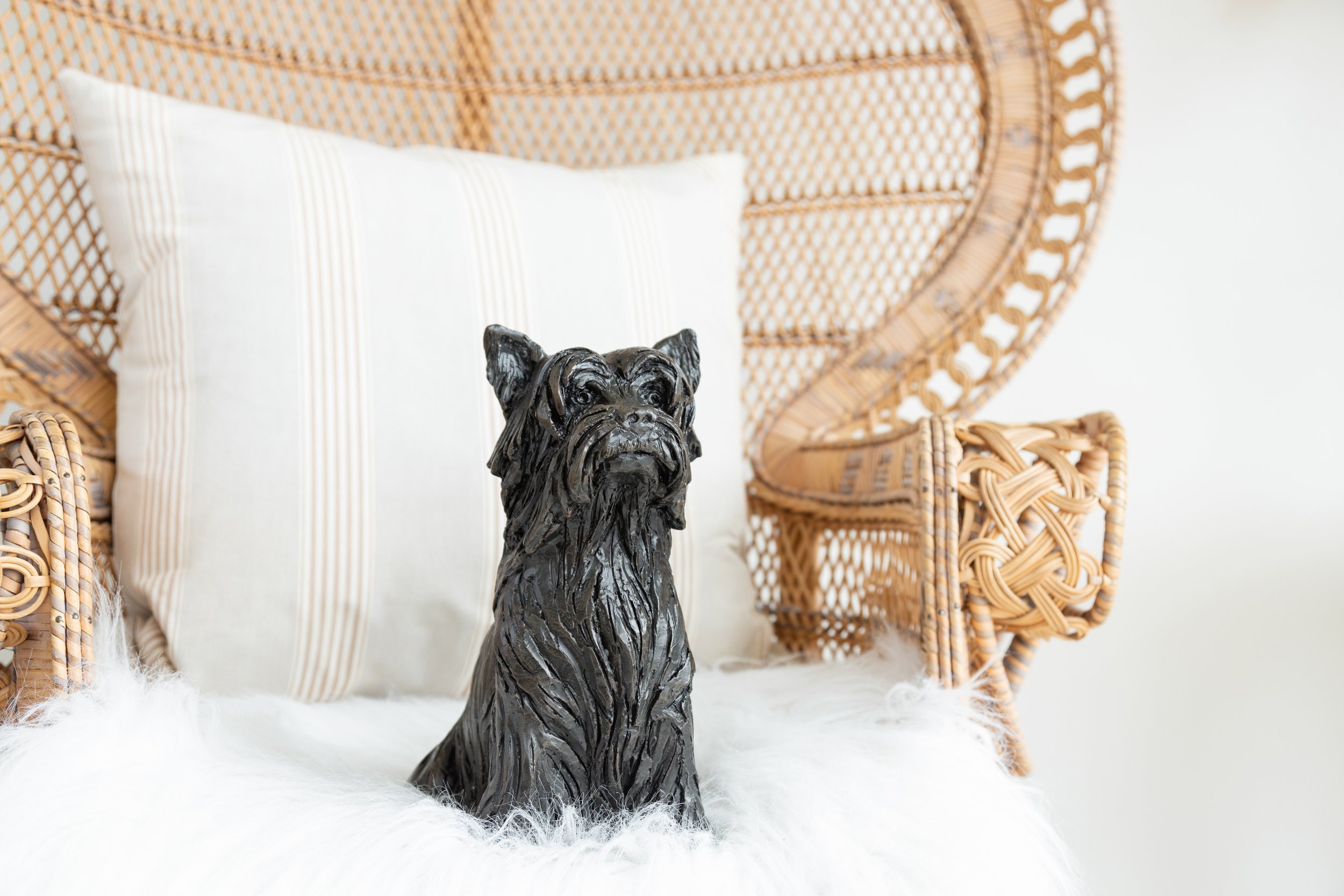 Yorkshire-Terrier-09.jpg