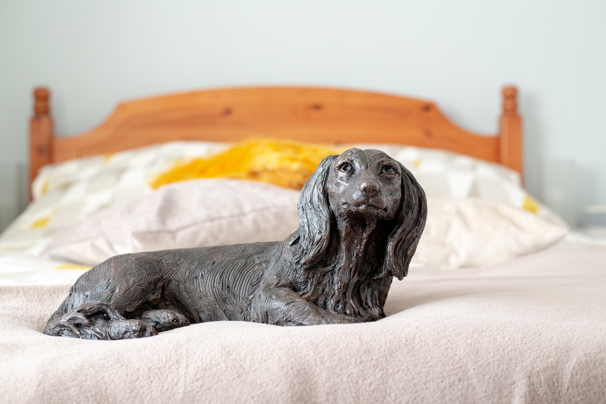 Dachushund-Long-Haired-05.jpg