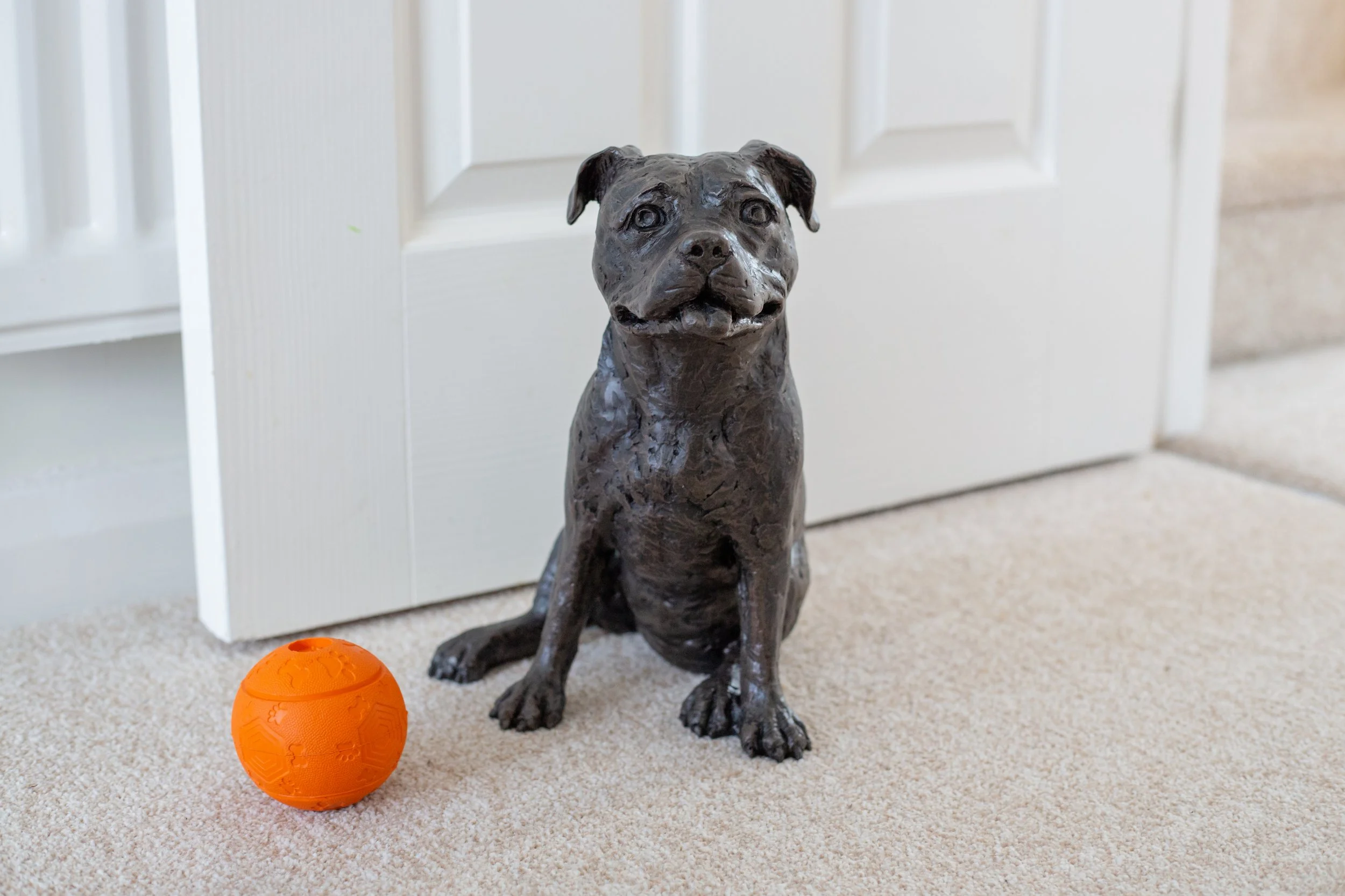 Staffordshire-Bull-Terrier-07.jpg