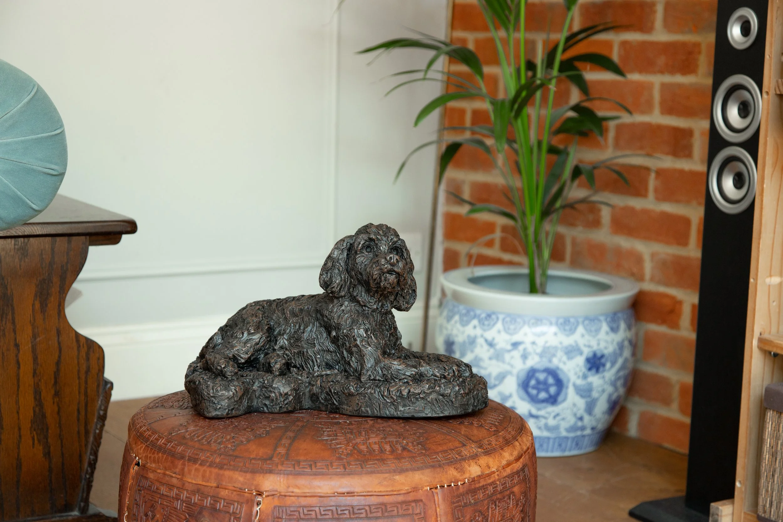 Cockapoo-03.jpg