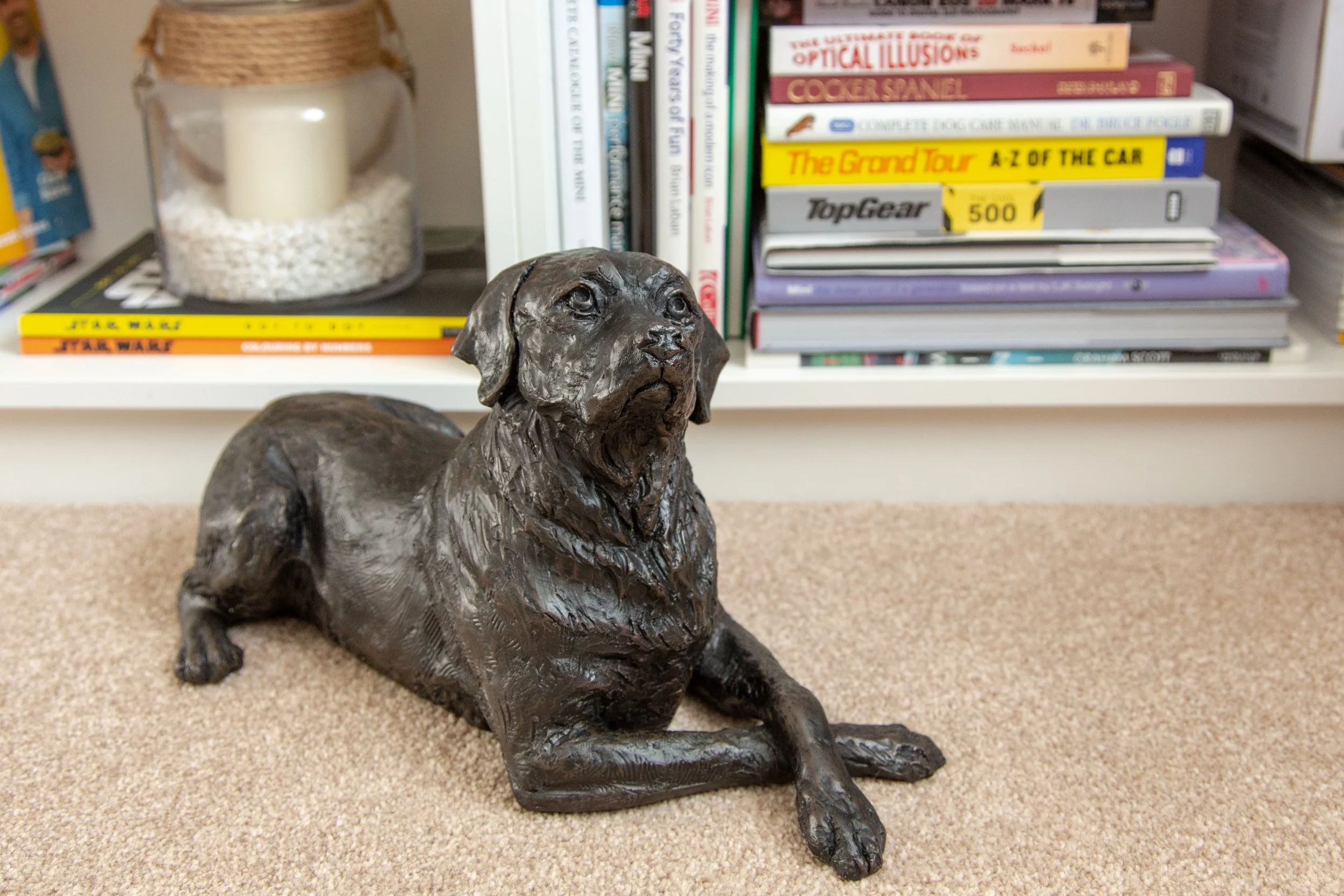 Labrador-06.jpg