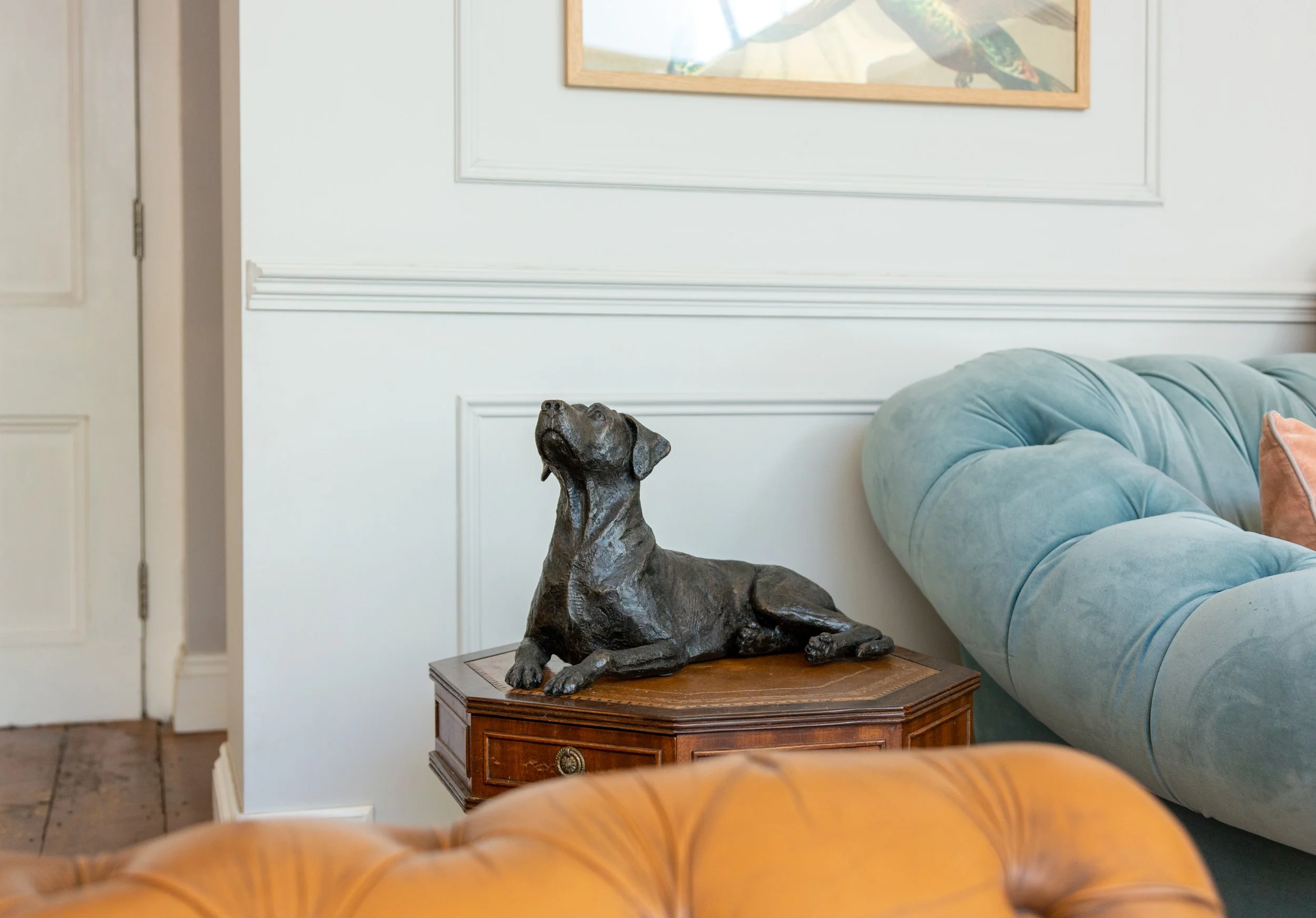 Rhodesian-Ridgeback-01.jpg