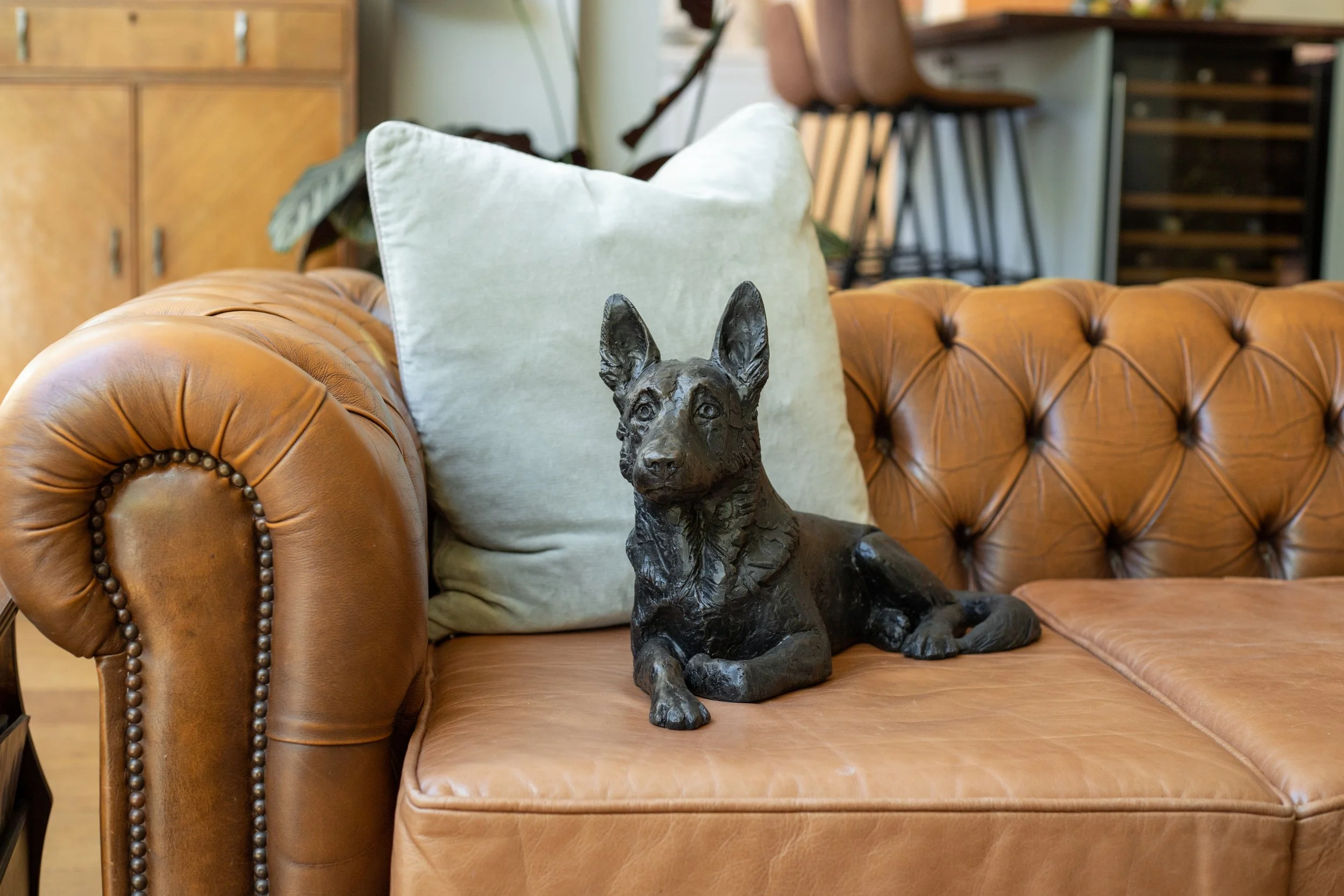 German-Shepherd-09.jpg