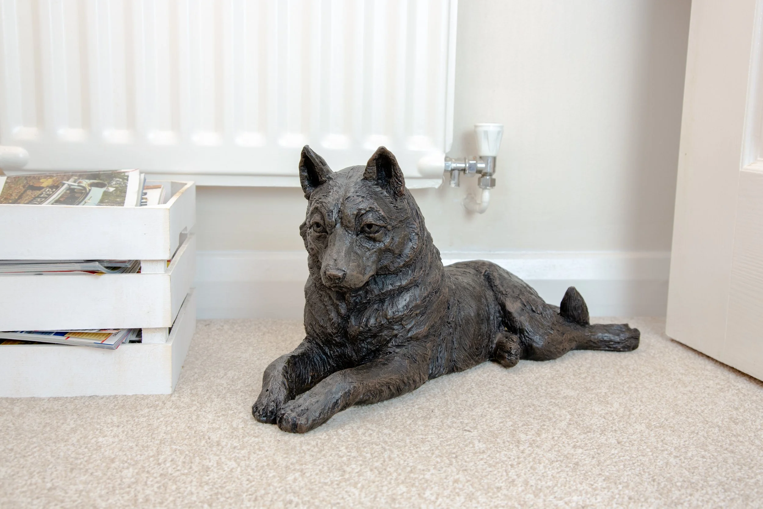 Husky-13.jpg