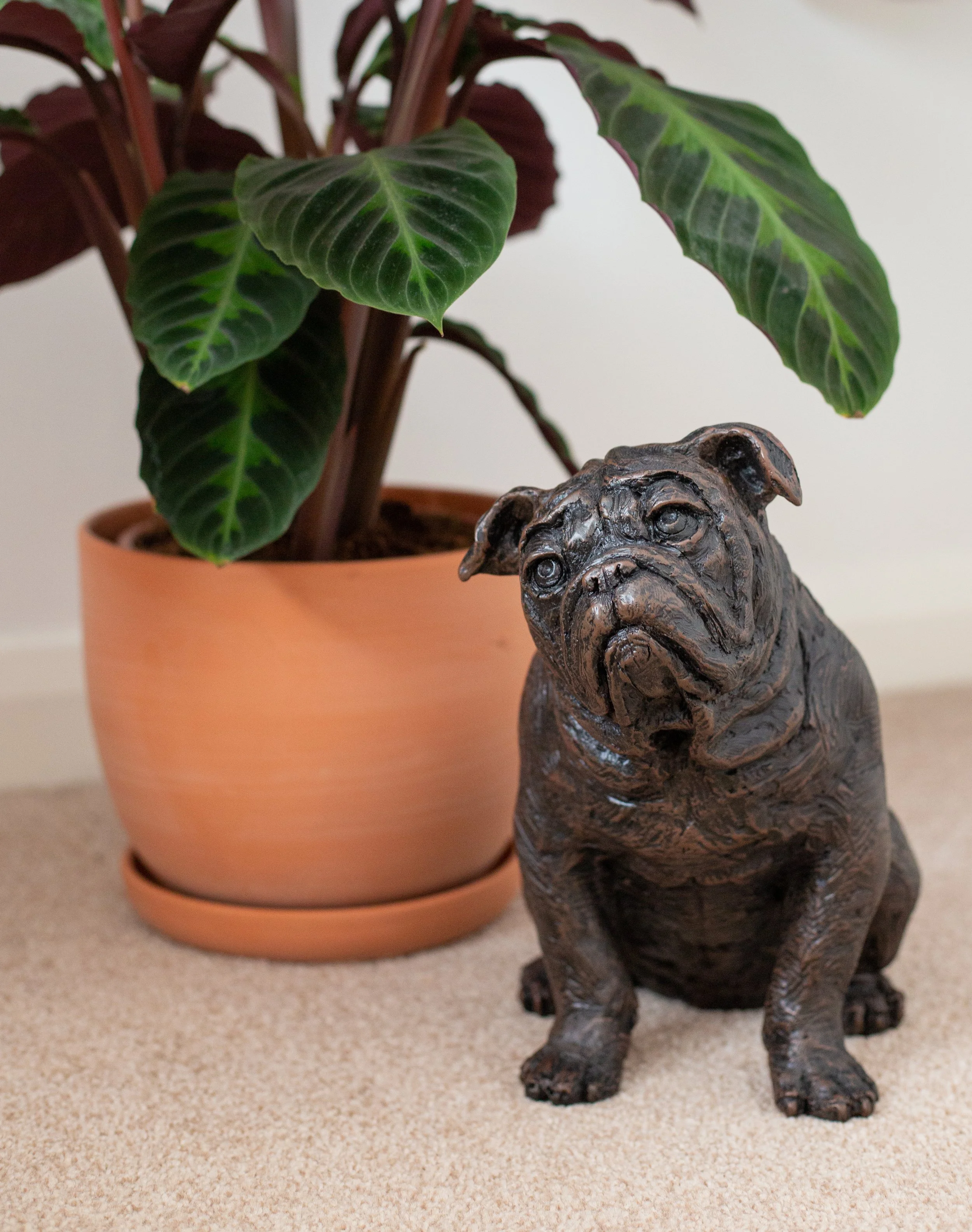 Bulldog-05.jpg