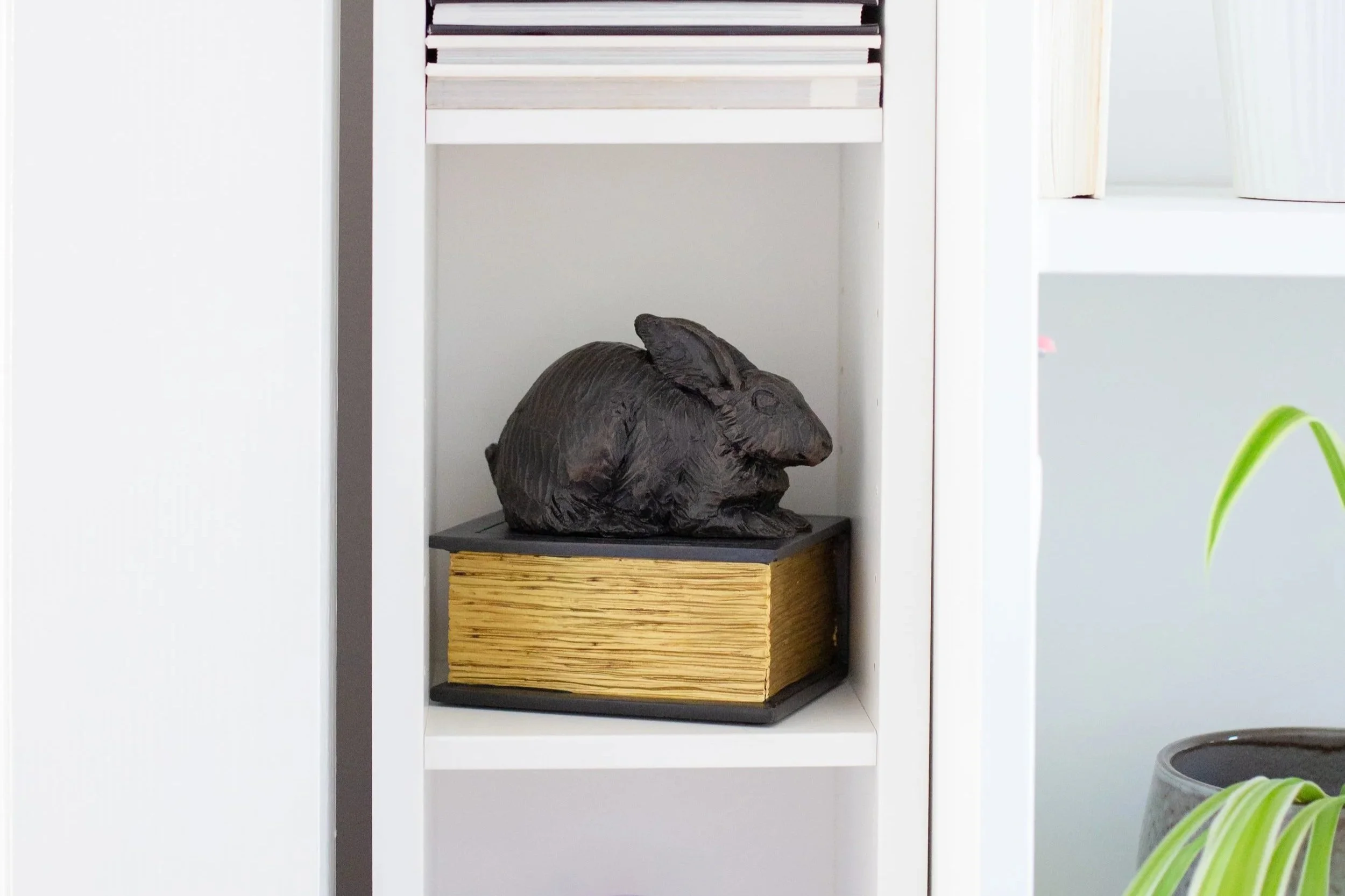 Rabbit-on-Book-09.jpg