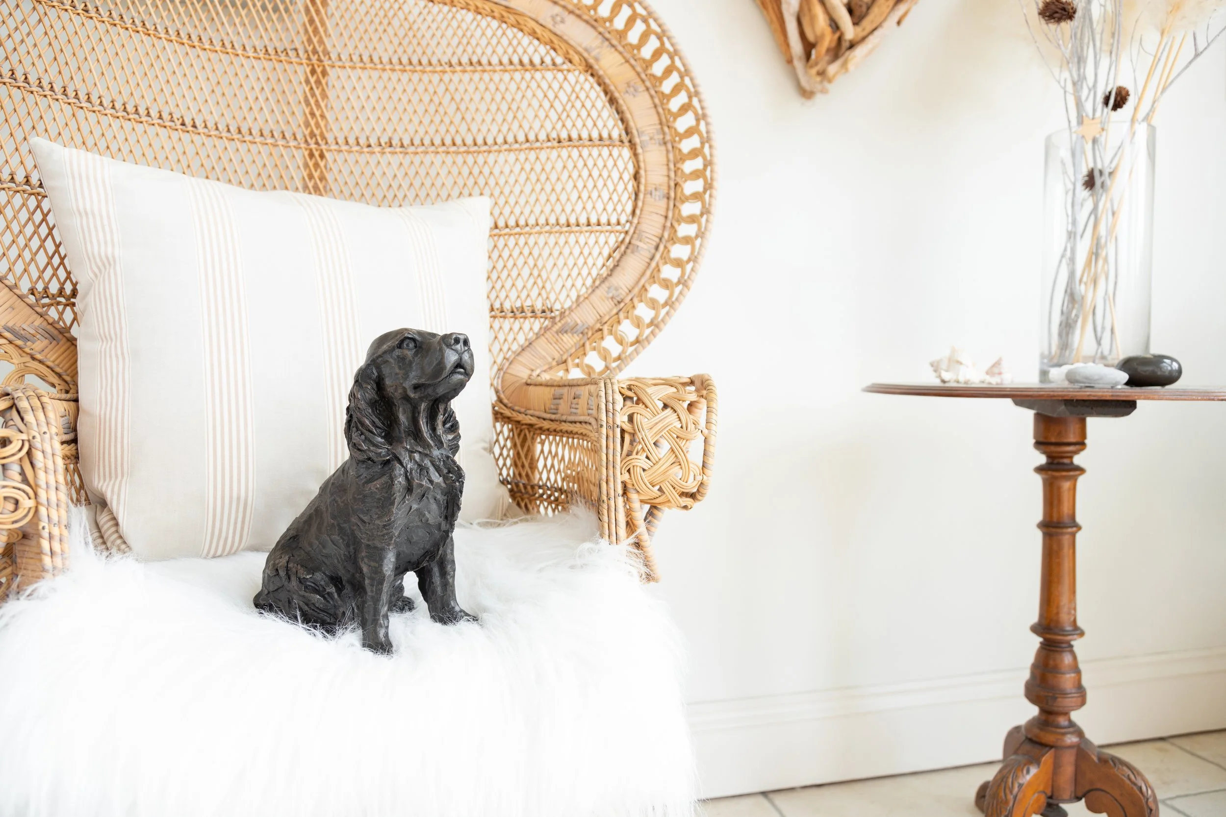 Cocker-Spaniel-09.jpg
