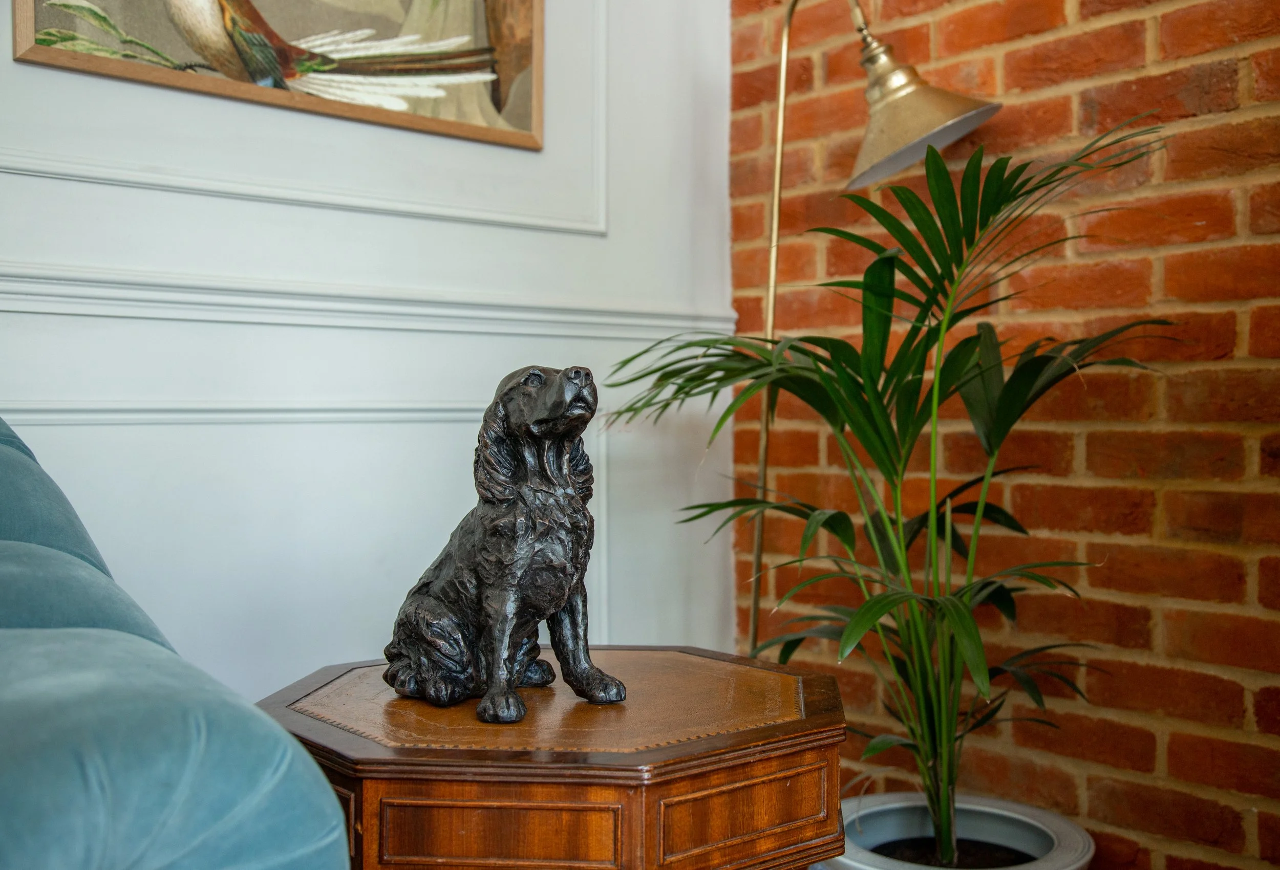 Cocker-Spaniel-05.jpg