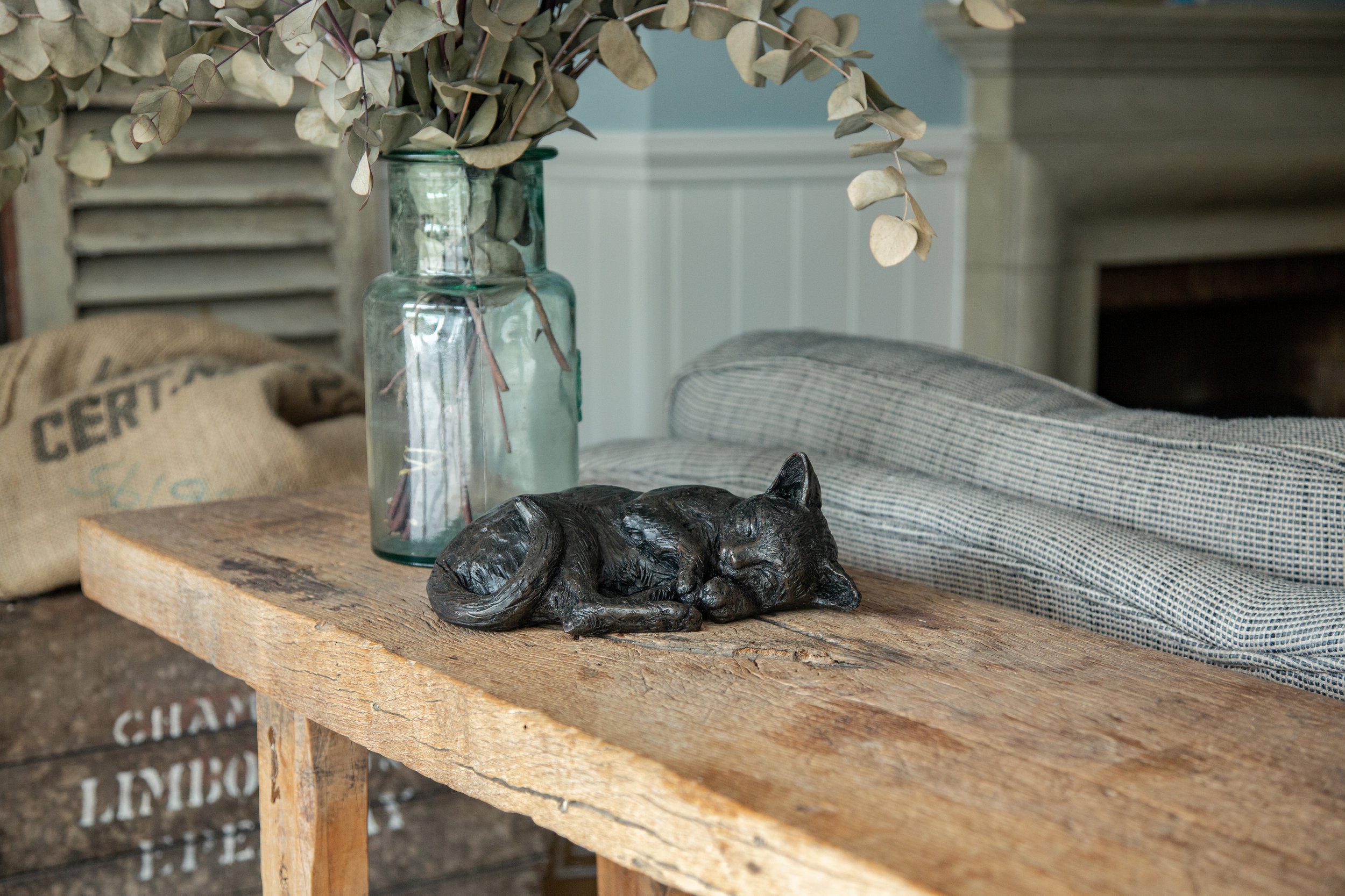 Resting-Cat-01.jpg