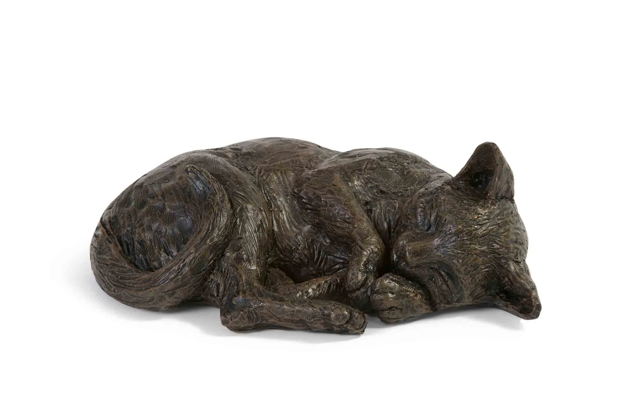 Resting-Cat-02-(Web Size).jpg