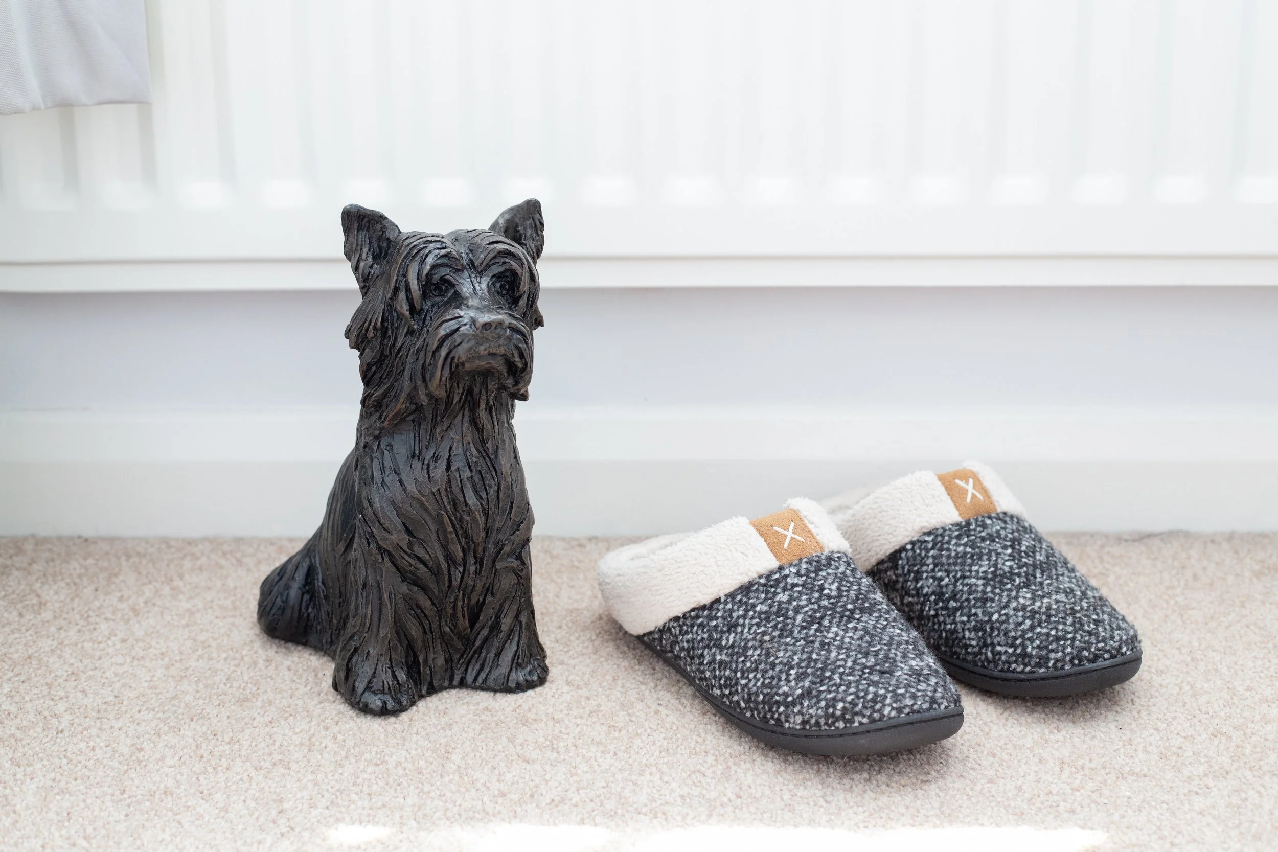 Yorkshire-Terrier-13.jpg