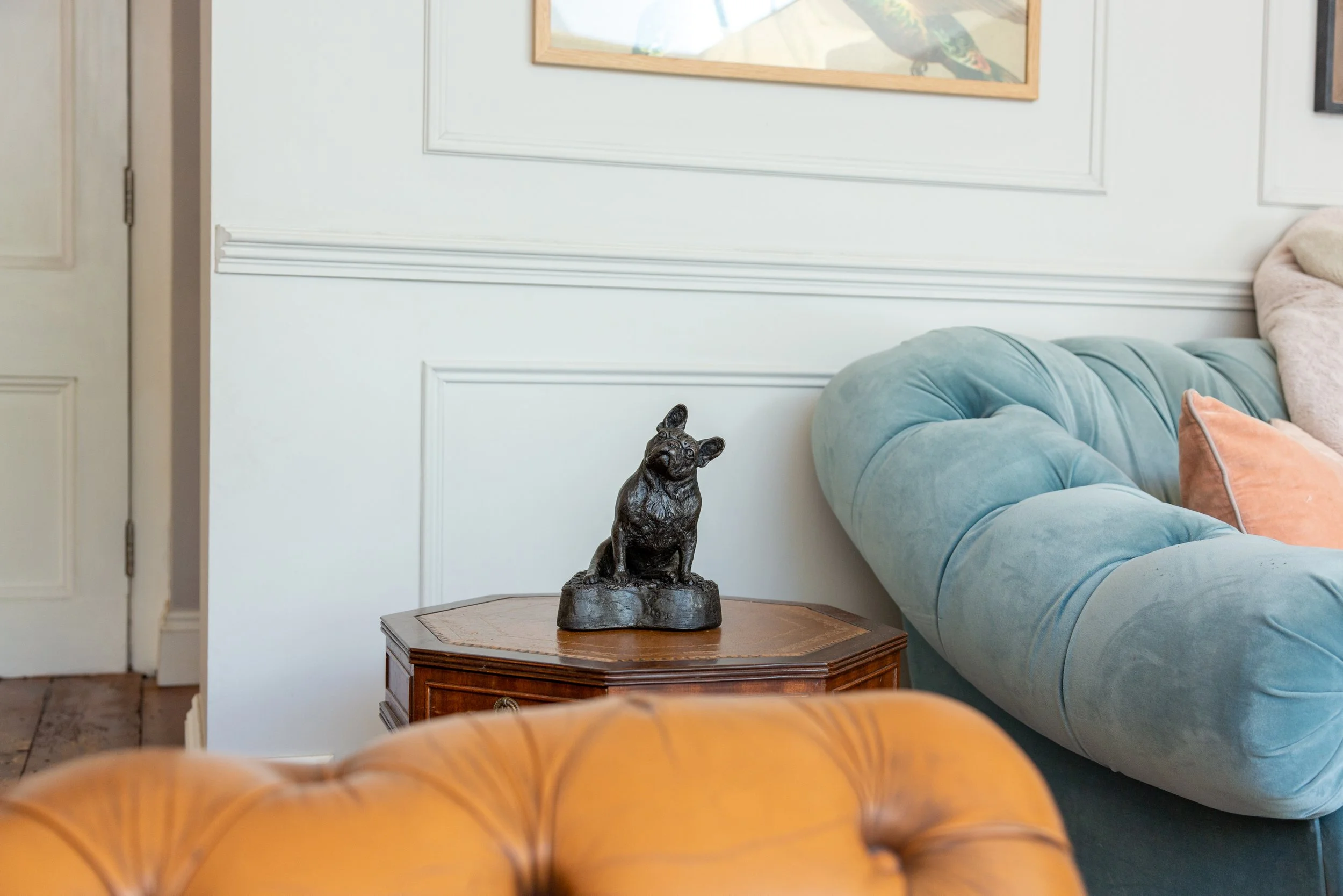 French-Bulldog-01.jpg
