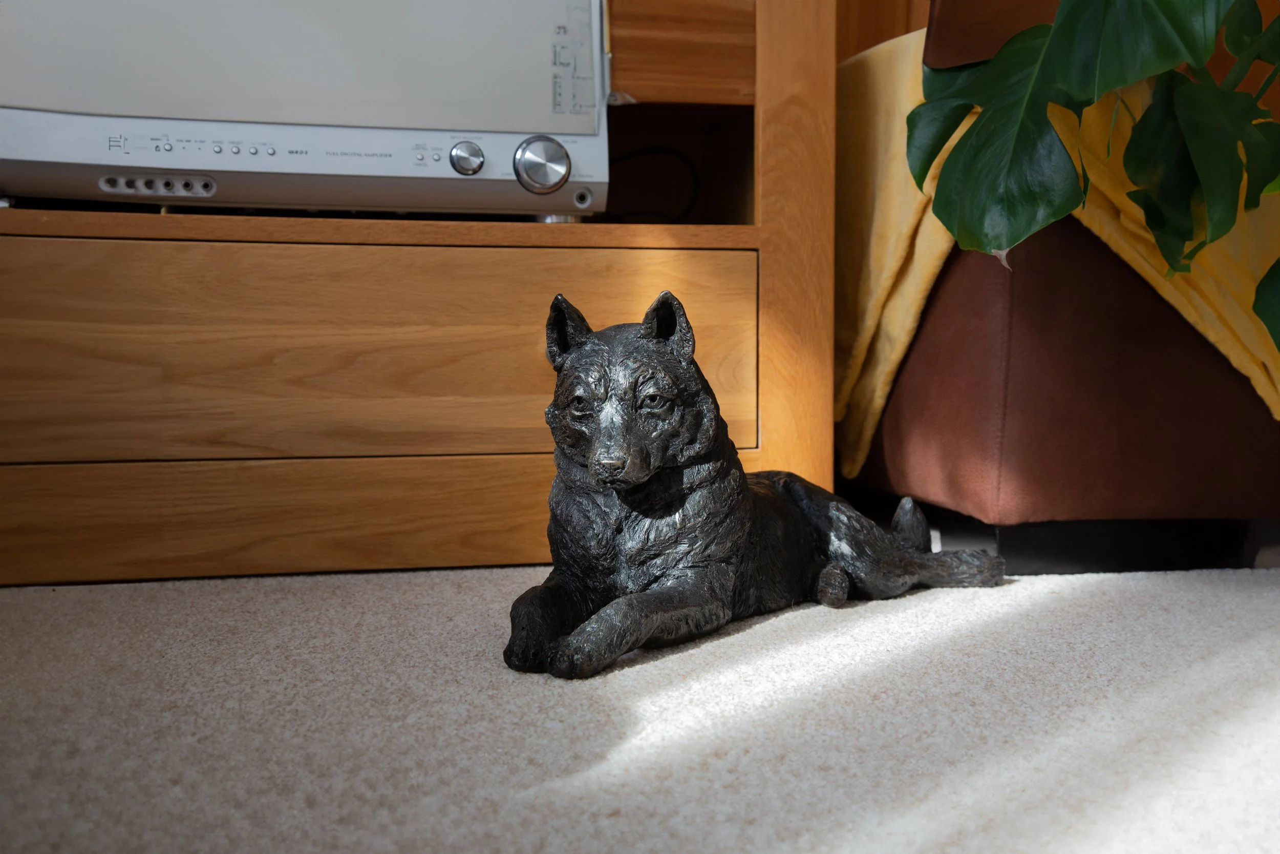 Husky-09-Edit.jpg