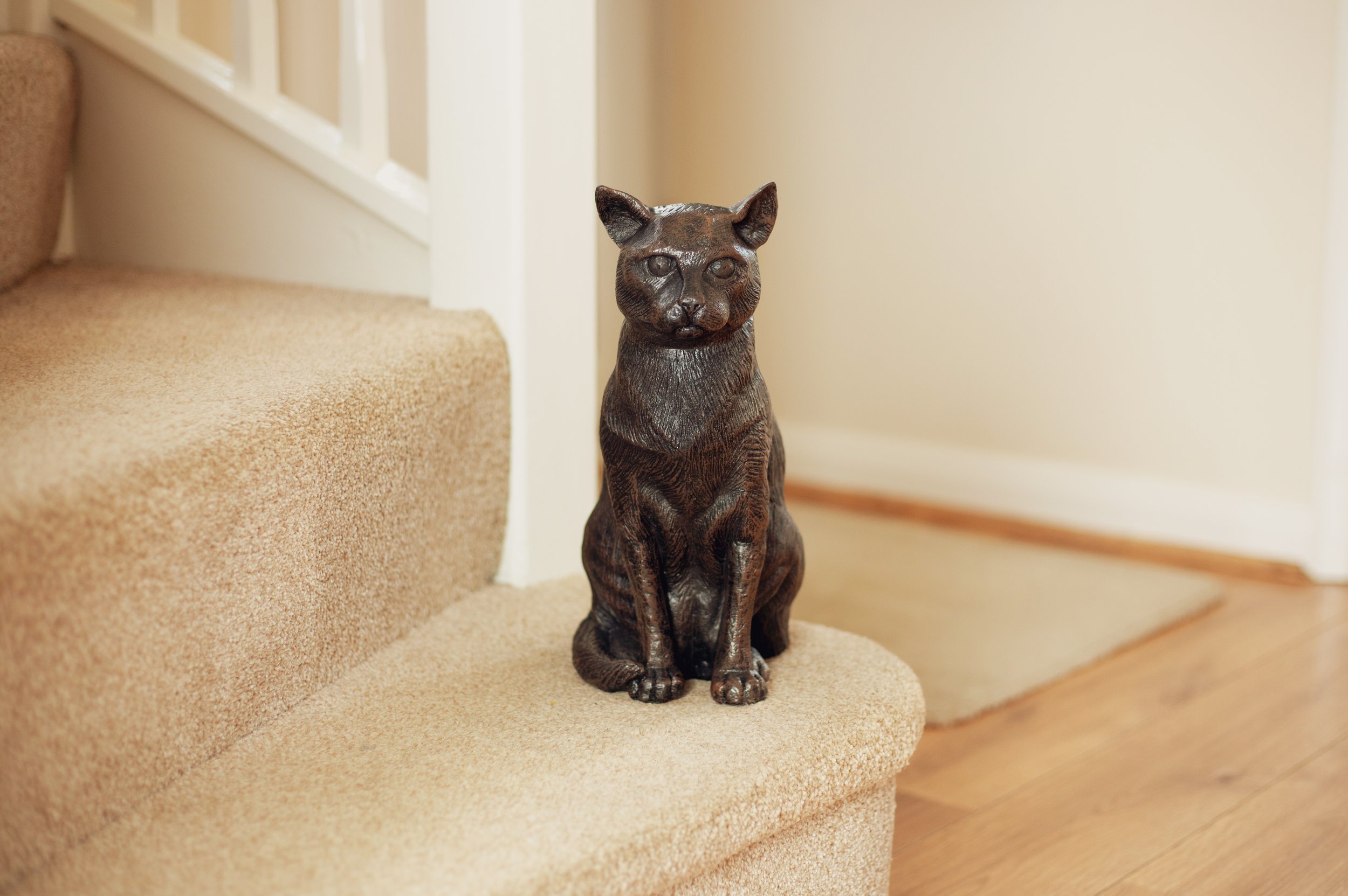 Sitting-Cat-06.jpg