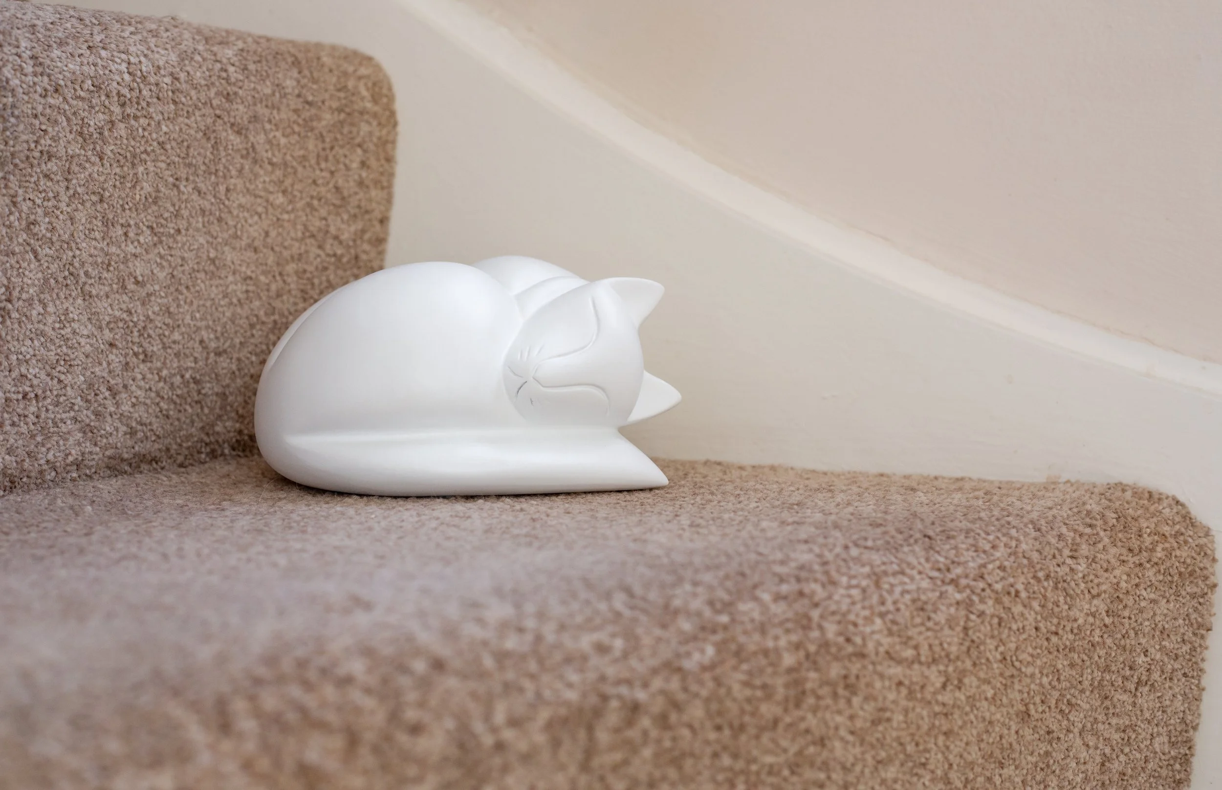 Sleeping-Cat-White-03.jpg