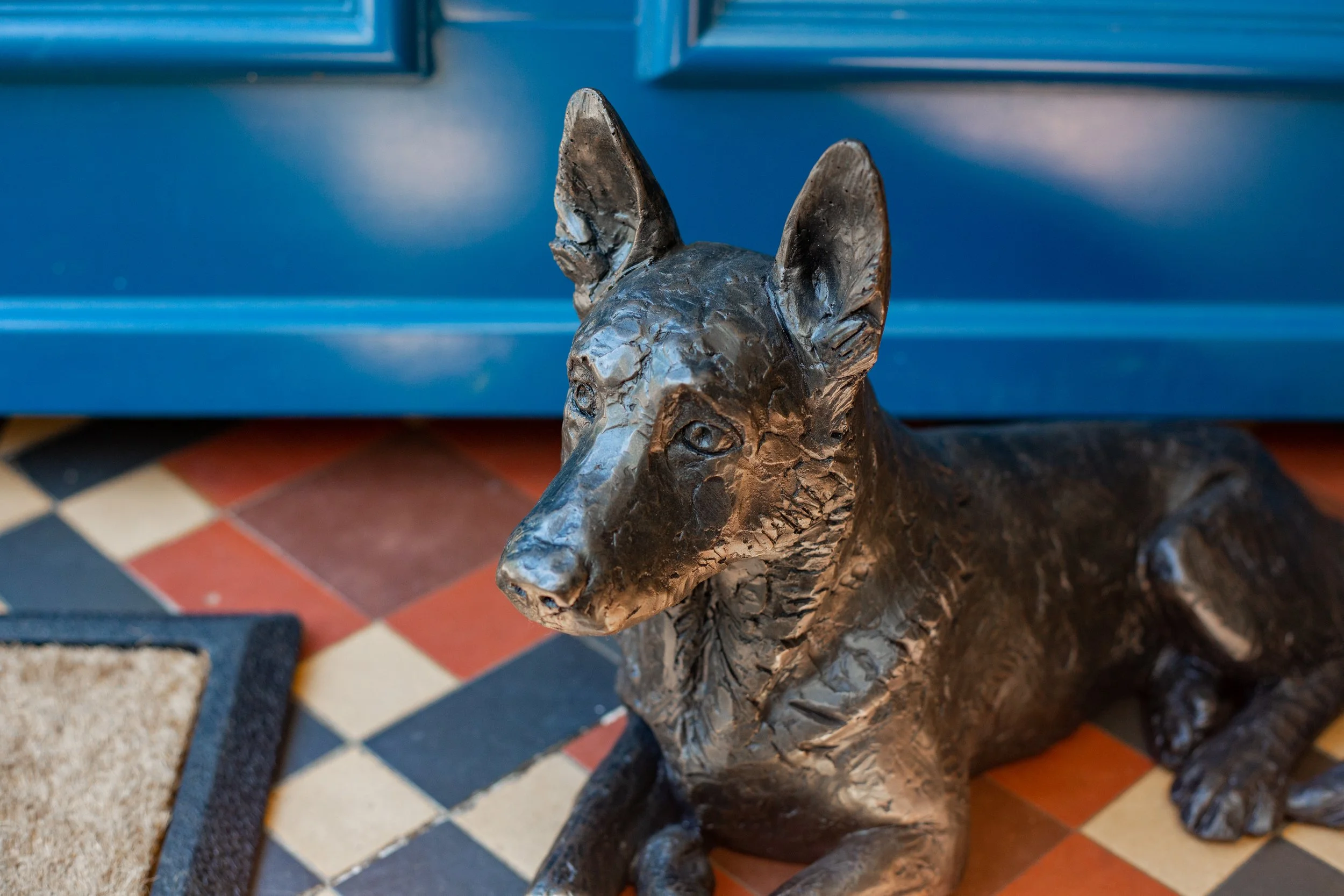German-Shepherd-06.jpg