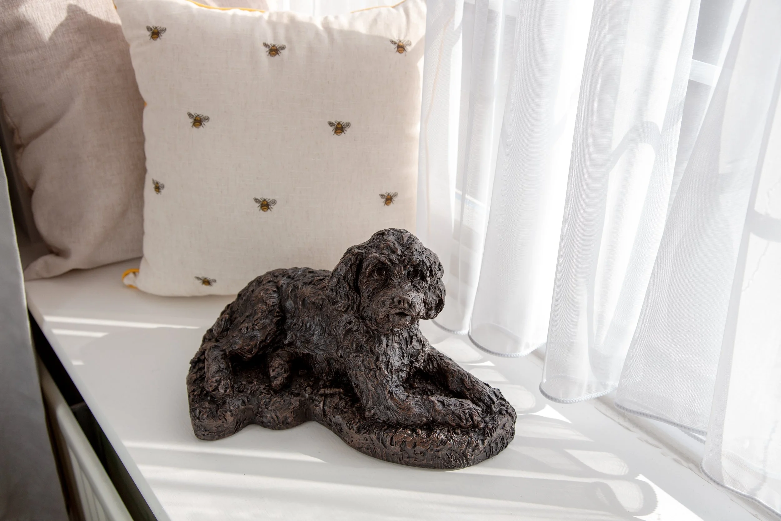 Cockapoo-14.jpg