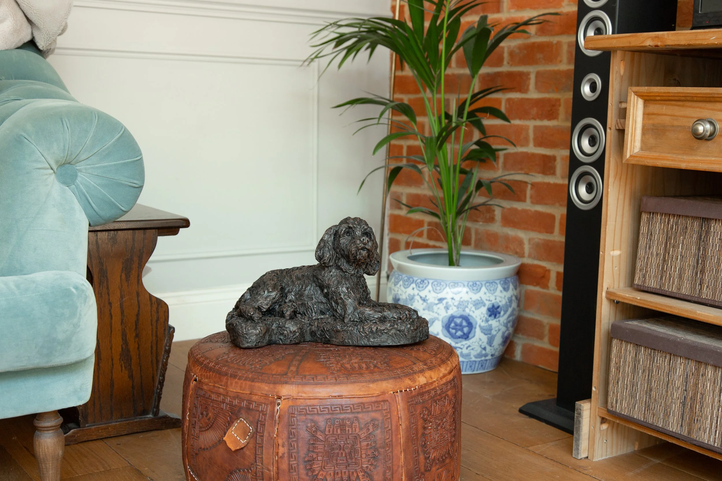 Cockapoo-02.jpg