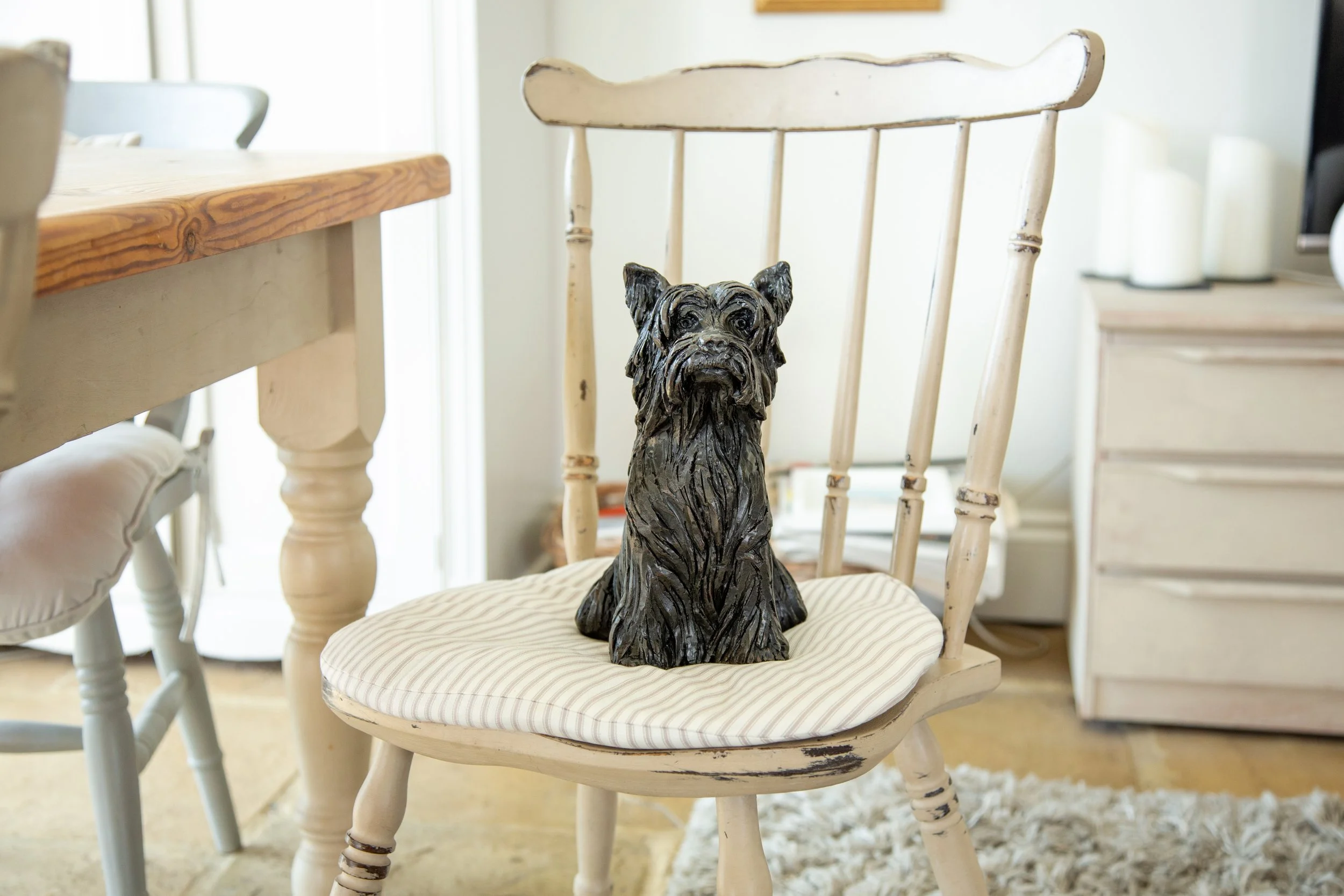 Yorkshire-Terrier-07.jpg