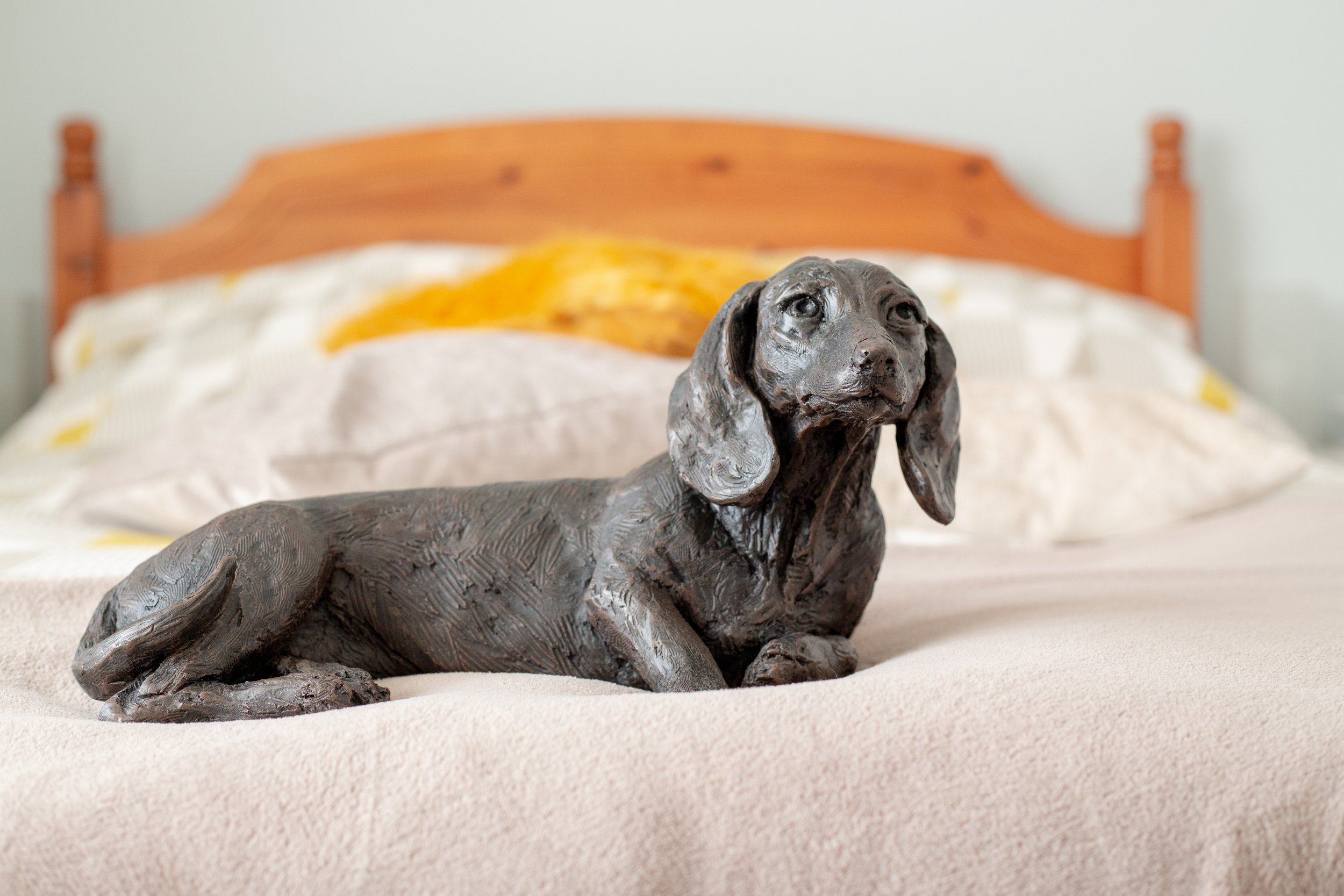 Dachushund-Short-Haired-05.jpg