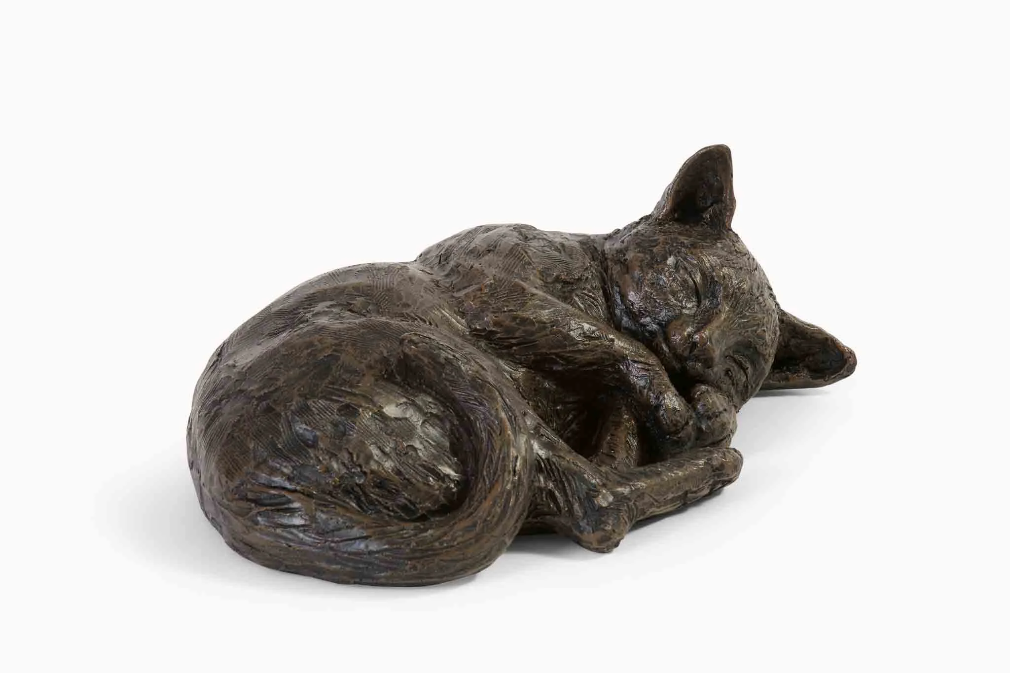 Resting-Cat-01-(Web Size).jpg