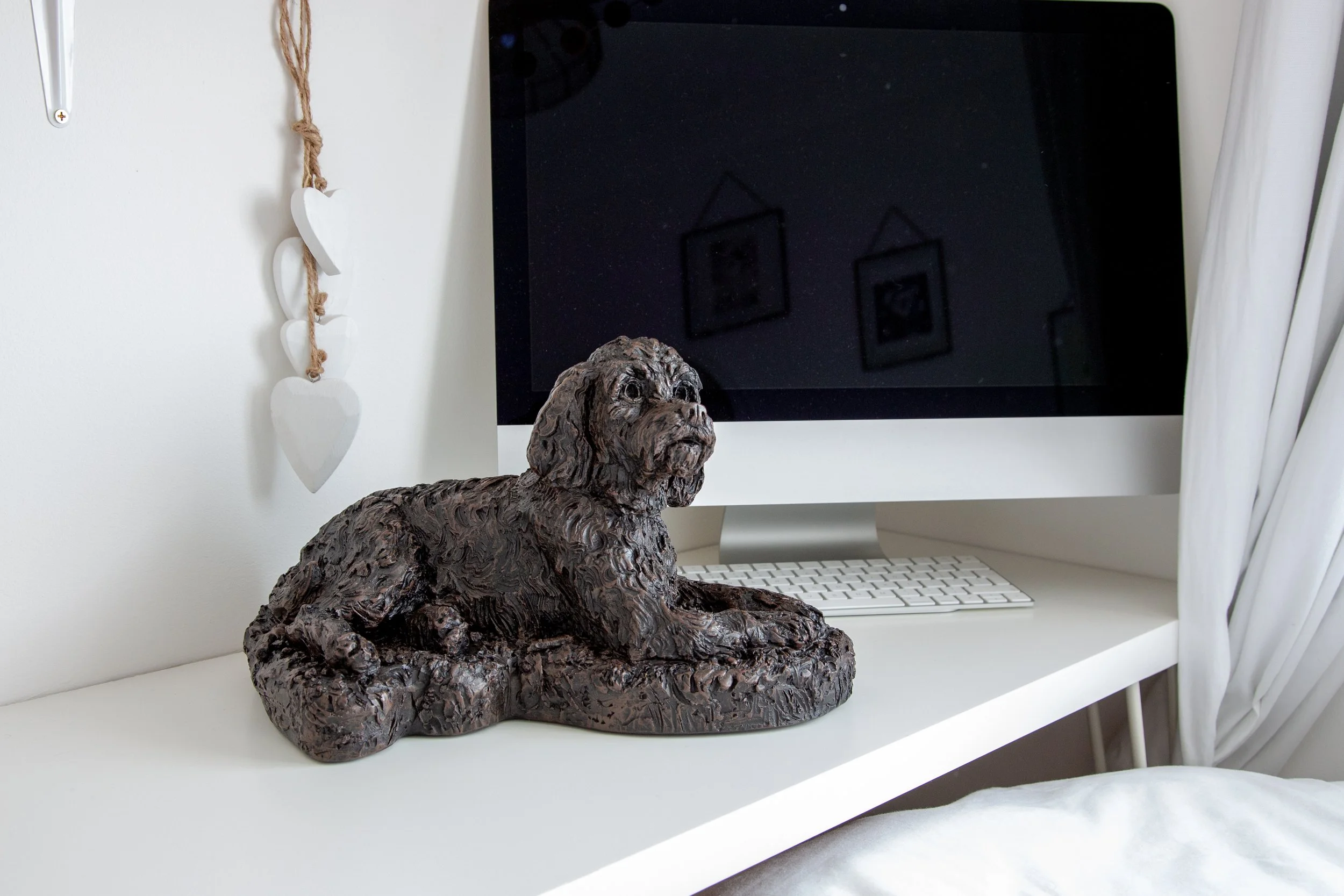 Cockapoo-16.jpg
