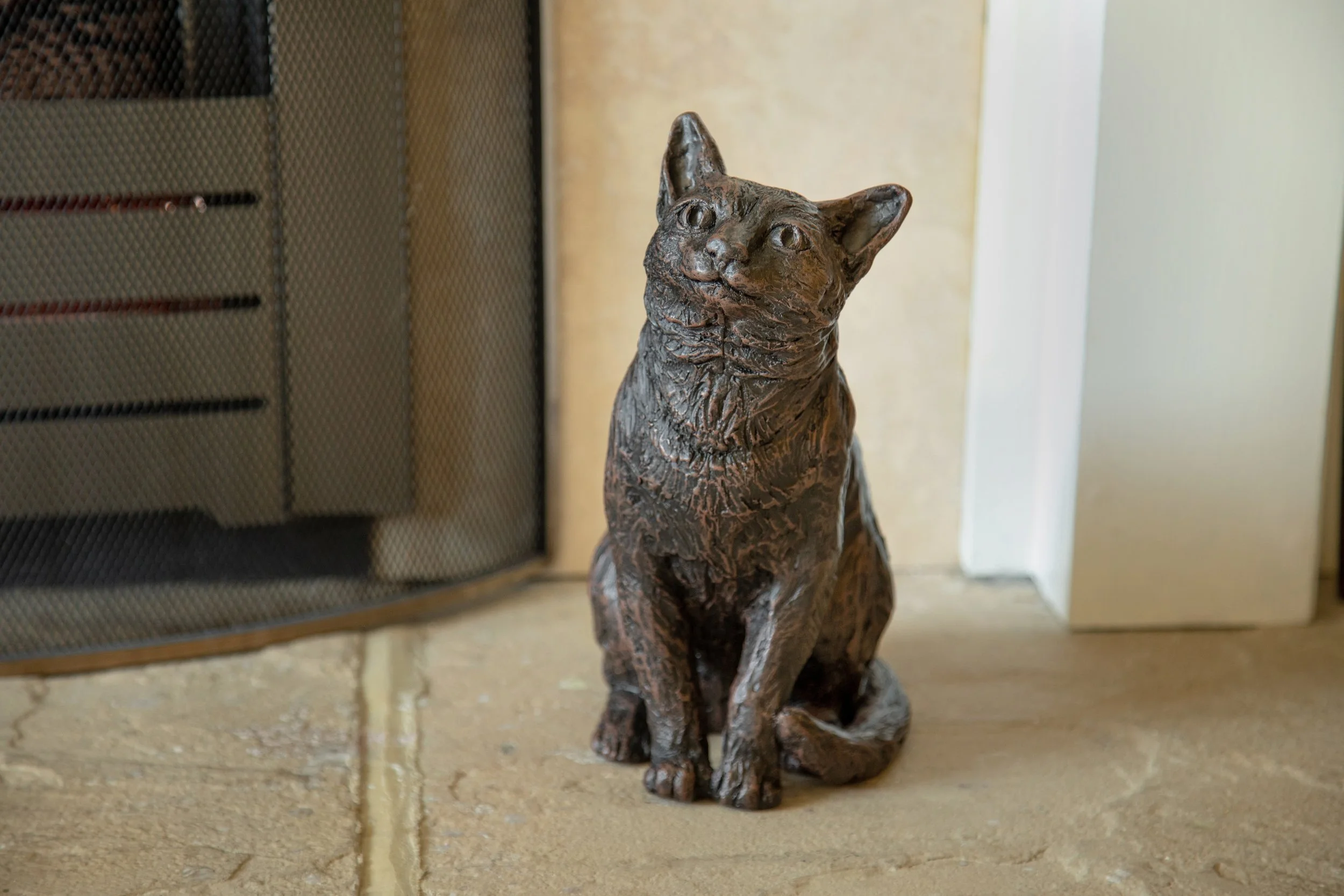 Caring-Cat-08.jpg