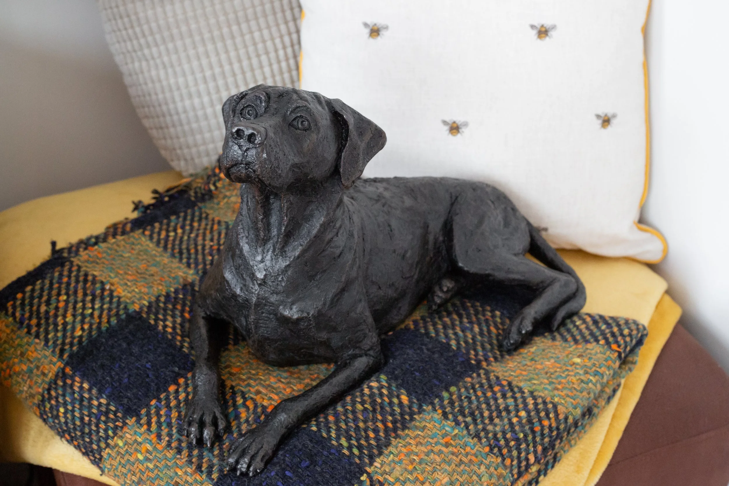 Rhodesian-Ridgeback-07.jpg