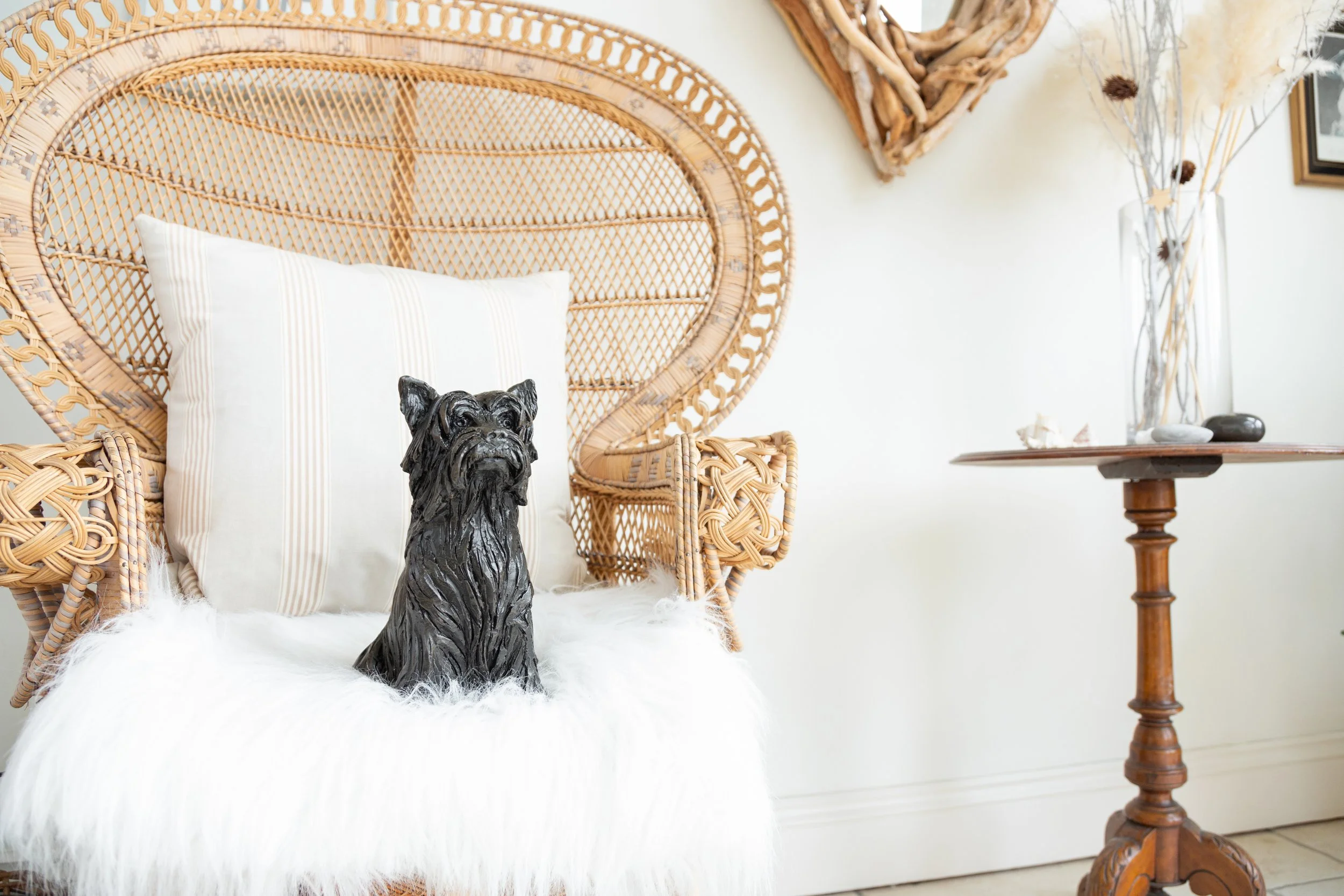 Yorkshire-Terrier-08.jpg