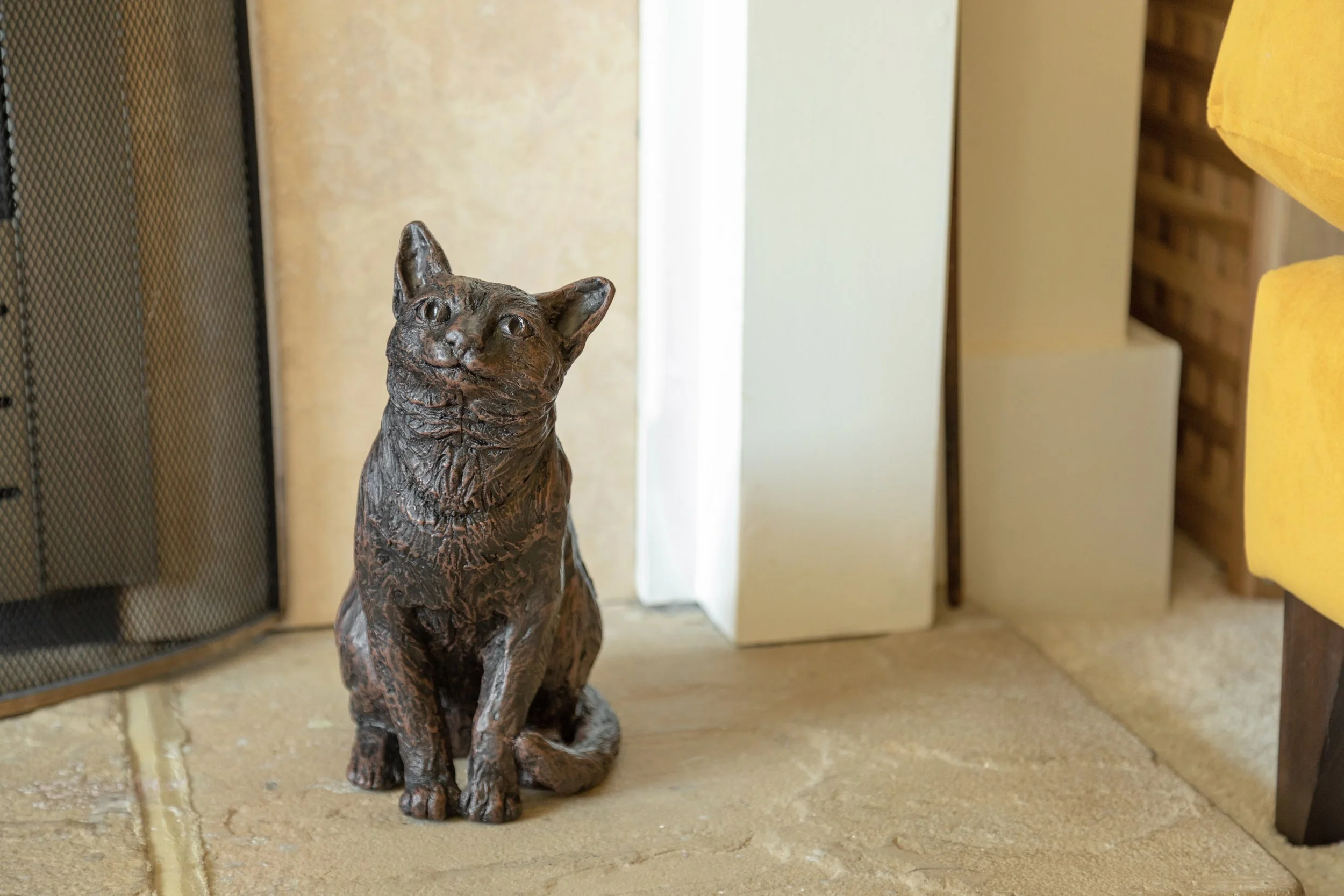 Caring-Cat-07.jpg