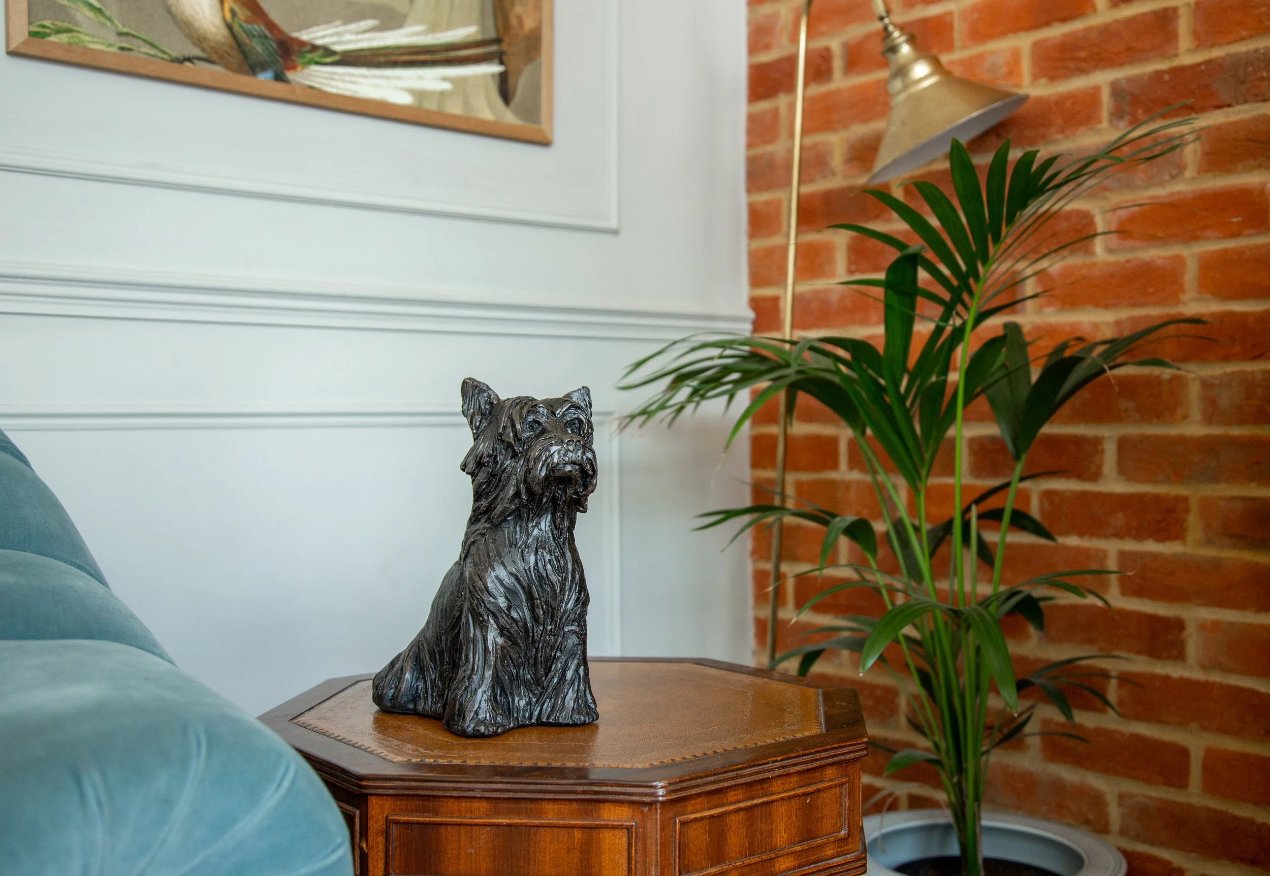 Yorkshire-Terrier-01.jpg