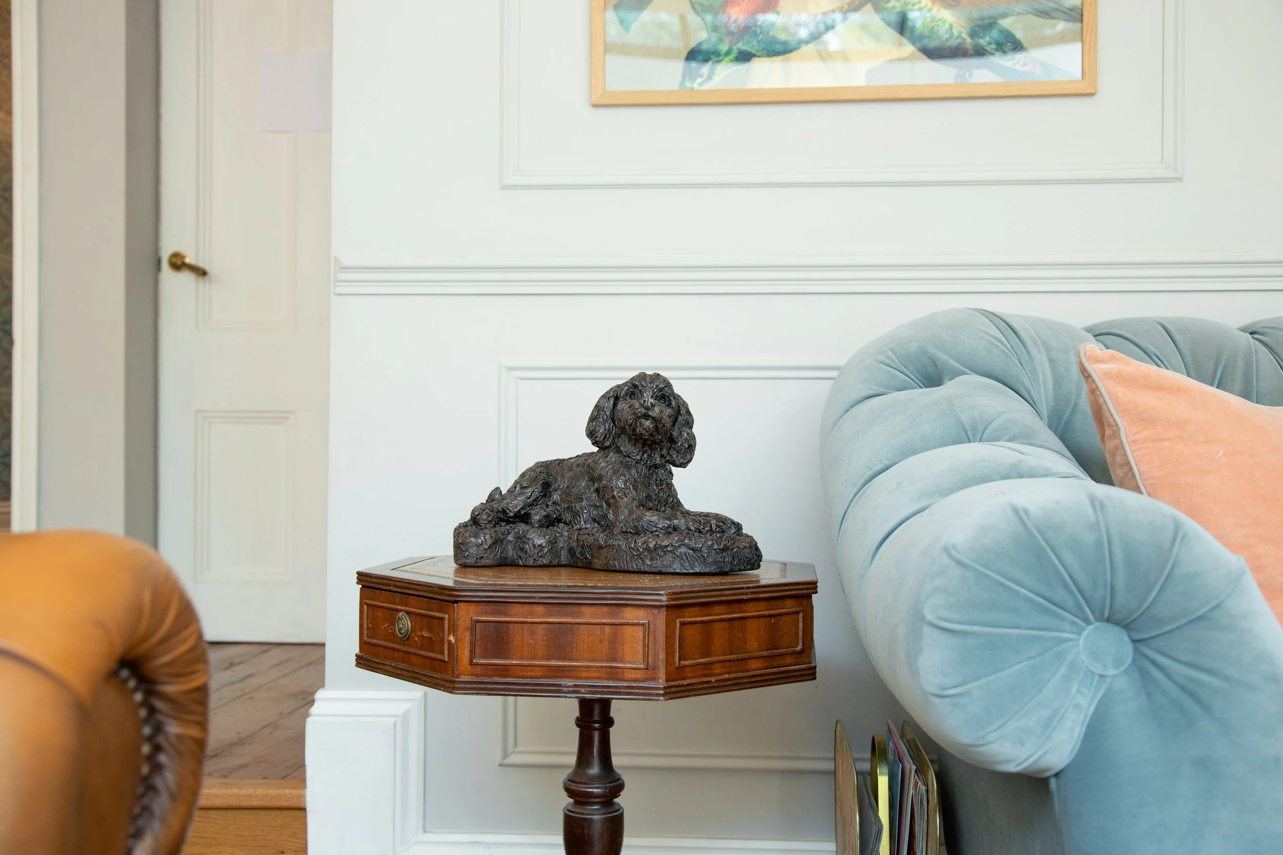 Cockapoo-06.jpg