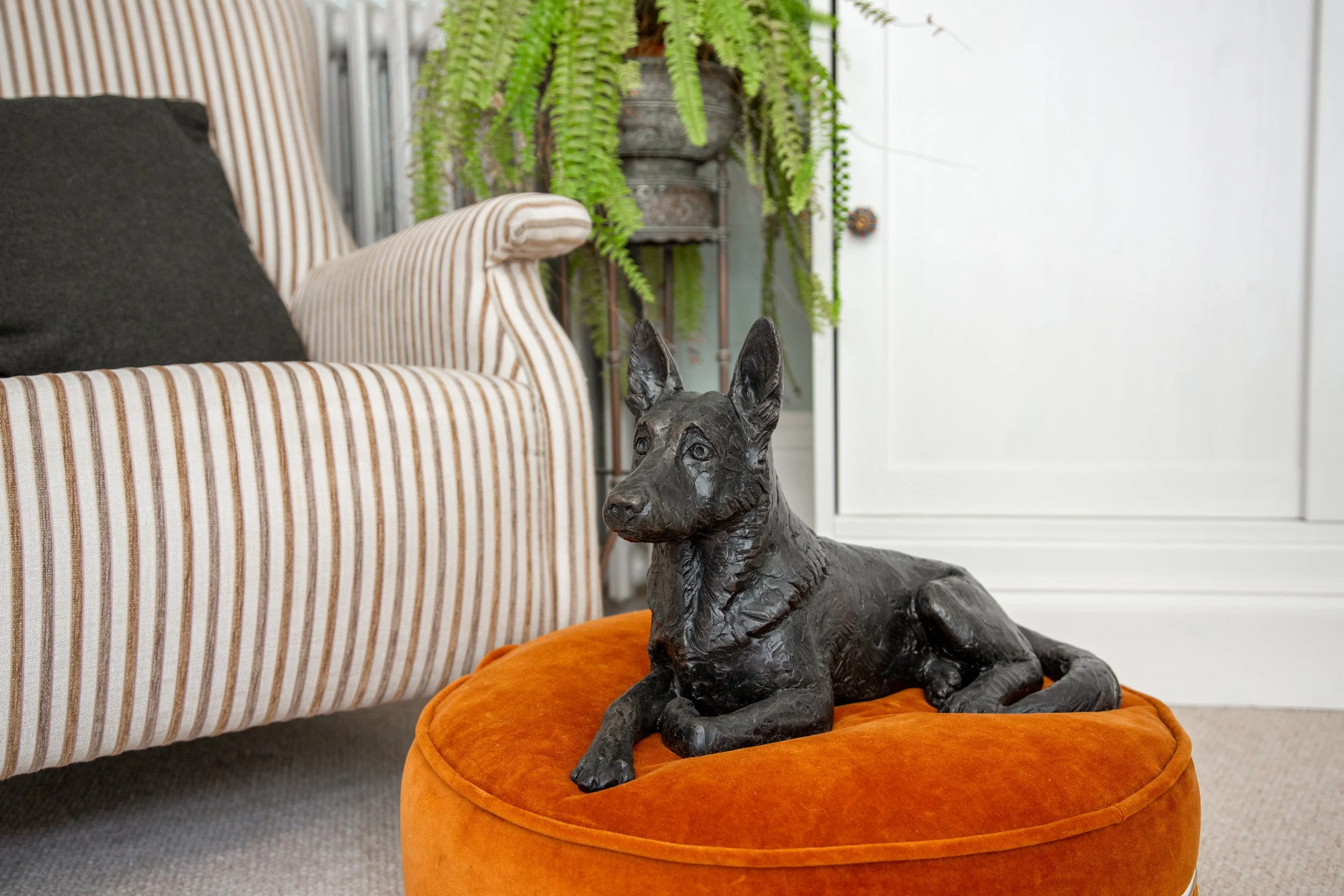 German-Shepherd-03.jpg