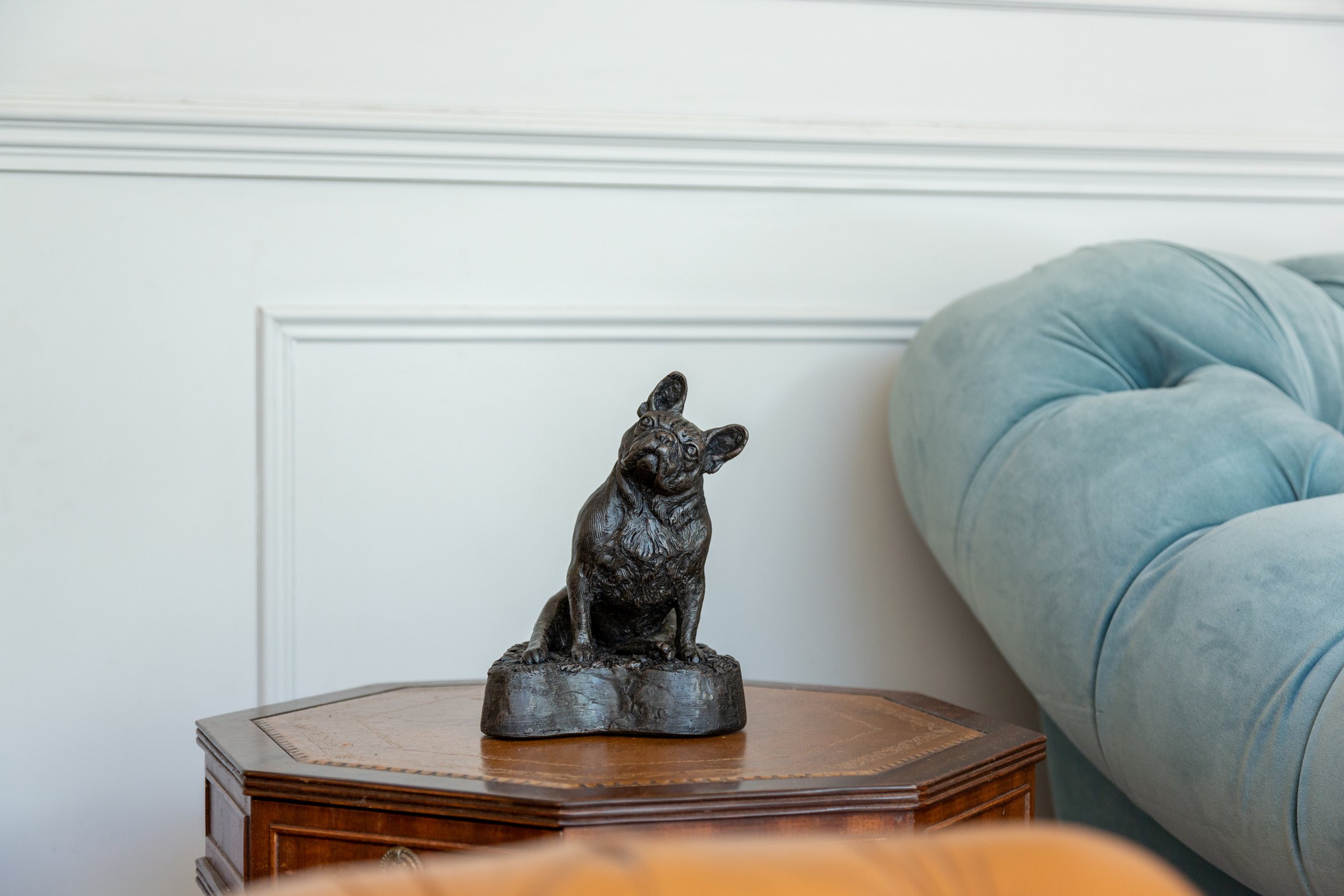French-Bulldog-02.jpg