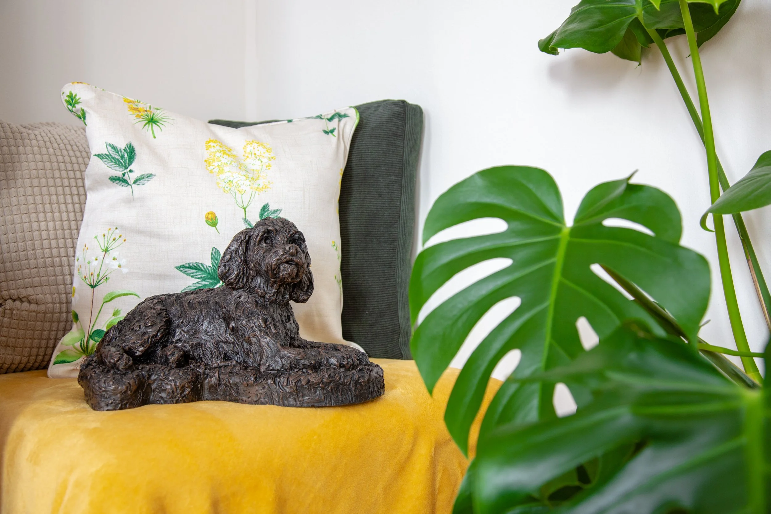 Cockapoo-09.jpg